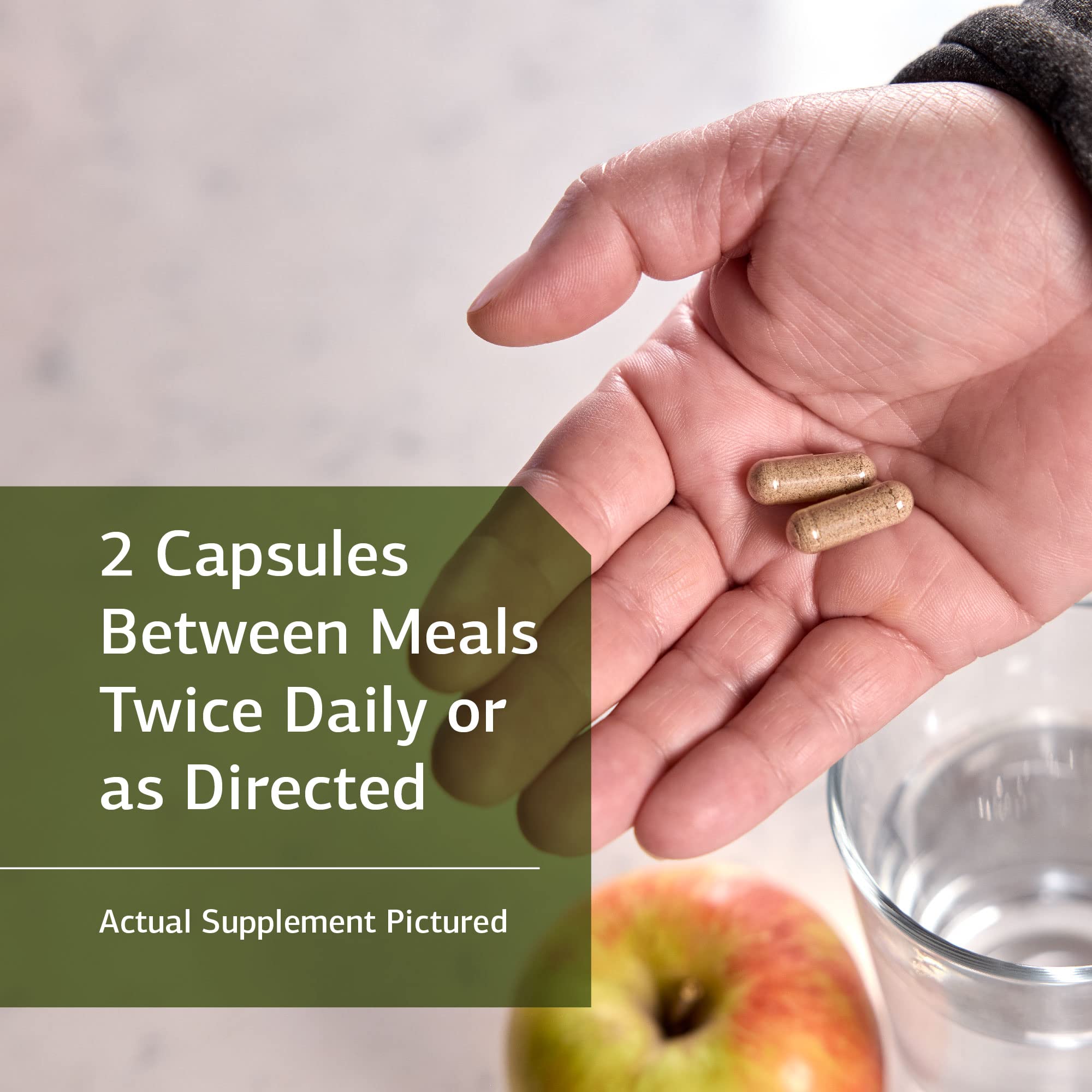 Standard Process Inc. Zymex II - Whole Food Digestion and Digestive Health with Digestion Enzymes, Cellulase, Papain, Amylase, Lipase, Almond and Bromelain - Gluten Free - 90 Capsules