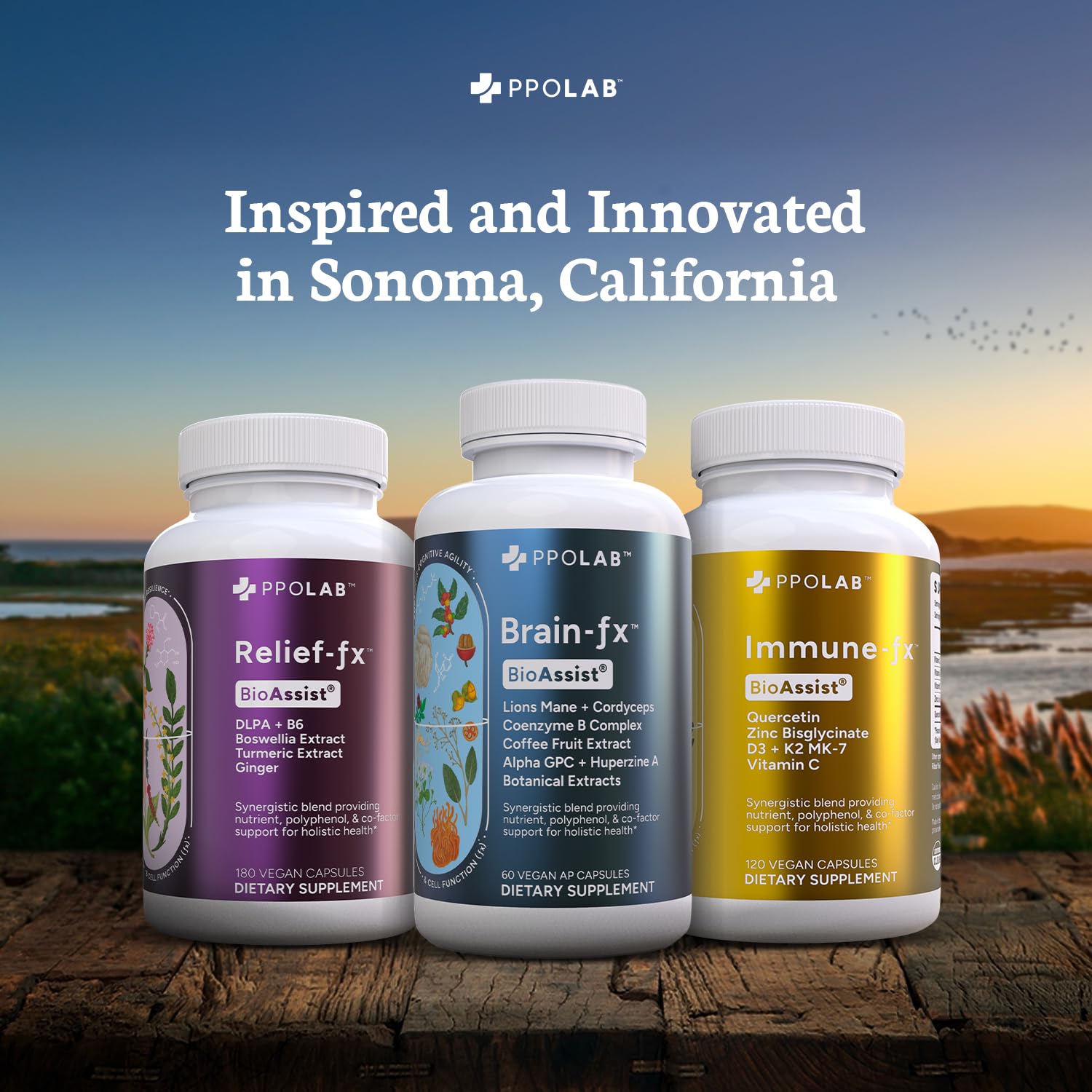 Immune-fx™ Advanced Daily Chelated Zinc Ionophore Immune Support Supplement with Quercetin 500mg Bioflavonoid, Antioxidant Vitamin C, D3, K2, DNA Heart Lung Aid, Clean Certified® 60 Vegan Capsules