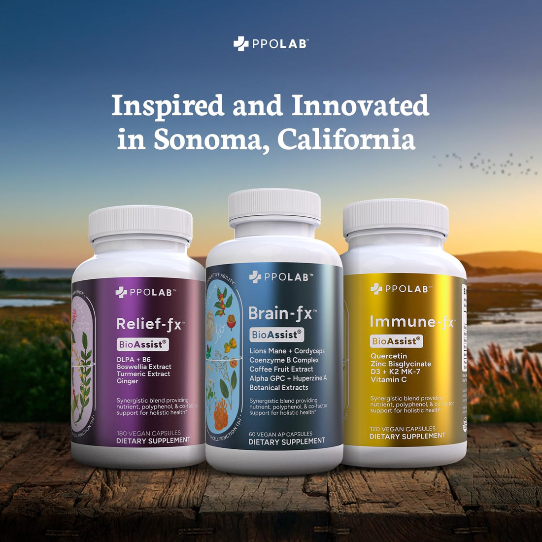 Immune-fx™ Advanced Daily Chelated Zinc Ionophore Immune Support Supplement with Quercetin 500mg Bioflavonoid, Antioxidant Vitamin C, D3, K2, DNA Heart Lung Aid, Clean Certified® 60 Vegan Capsules