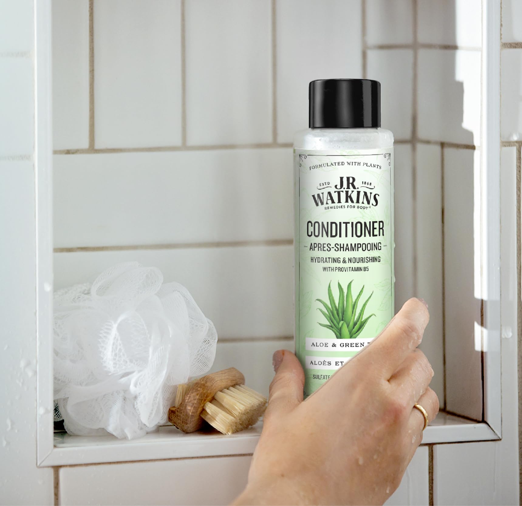 J.R. Watkins Daily Hydration Conditioner - Aloe & Green Tea - 12 fl oz (Pack of 2)