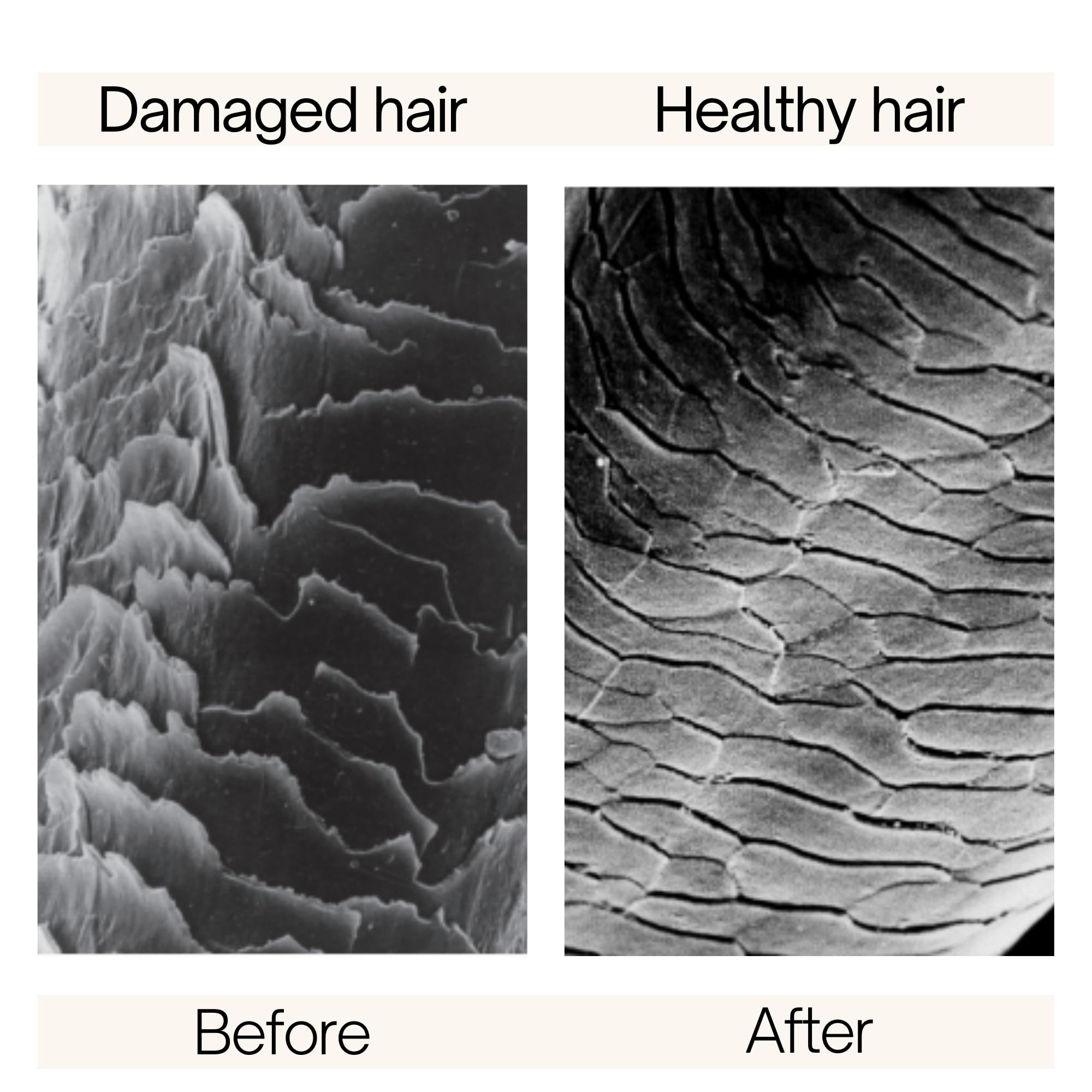 Rausch   Shampoo 200ml