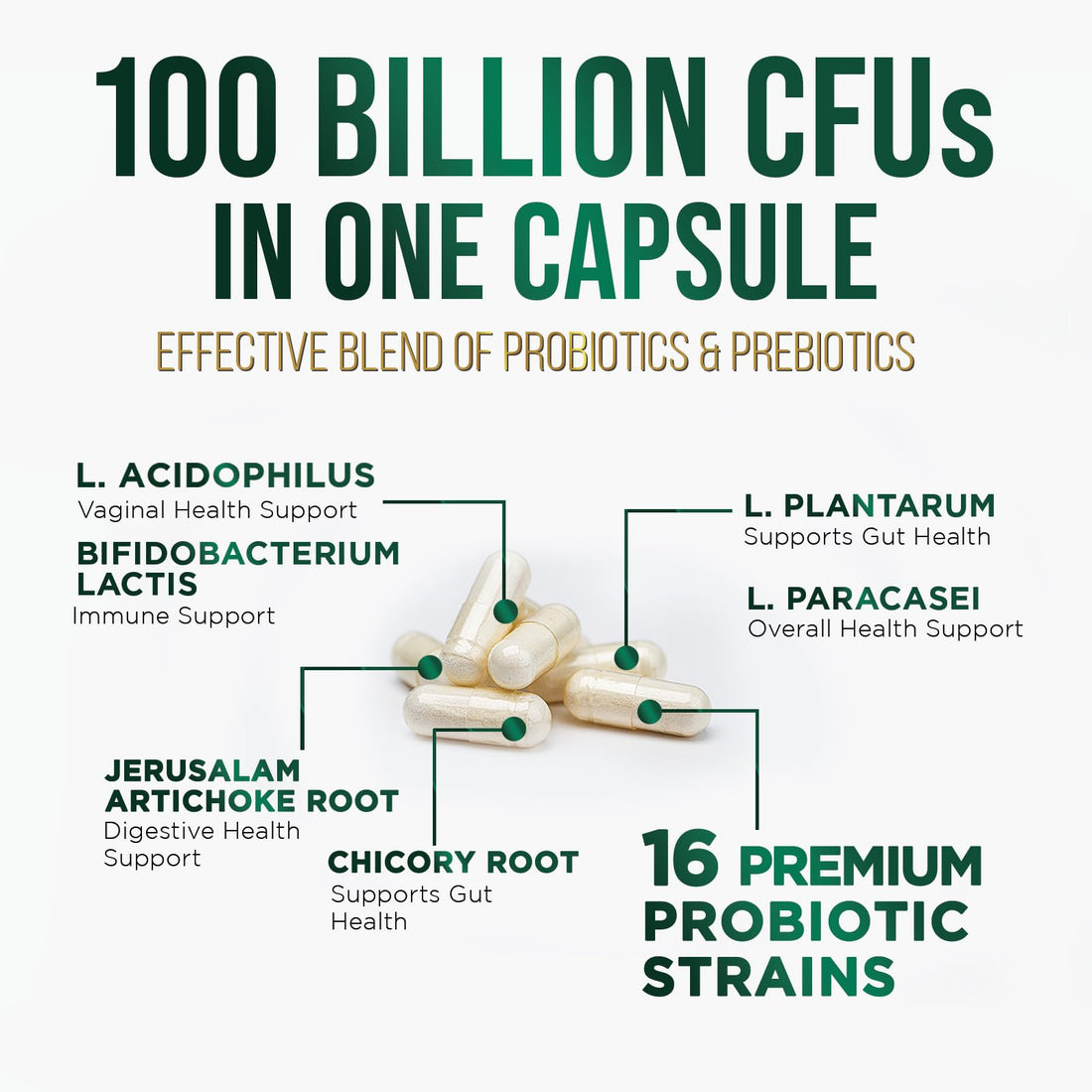 Probiotics for Digestive Health, 120 Billion CFU for Women's Vaginal pH & Daily Immune Support, Nature's Probiotic Supplement for Gut Health & Bloating, Probiotics for Women & Men - 60 Capsules