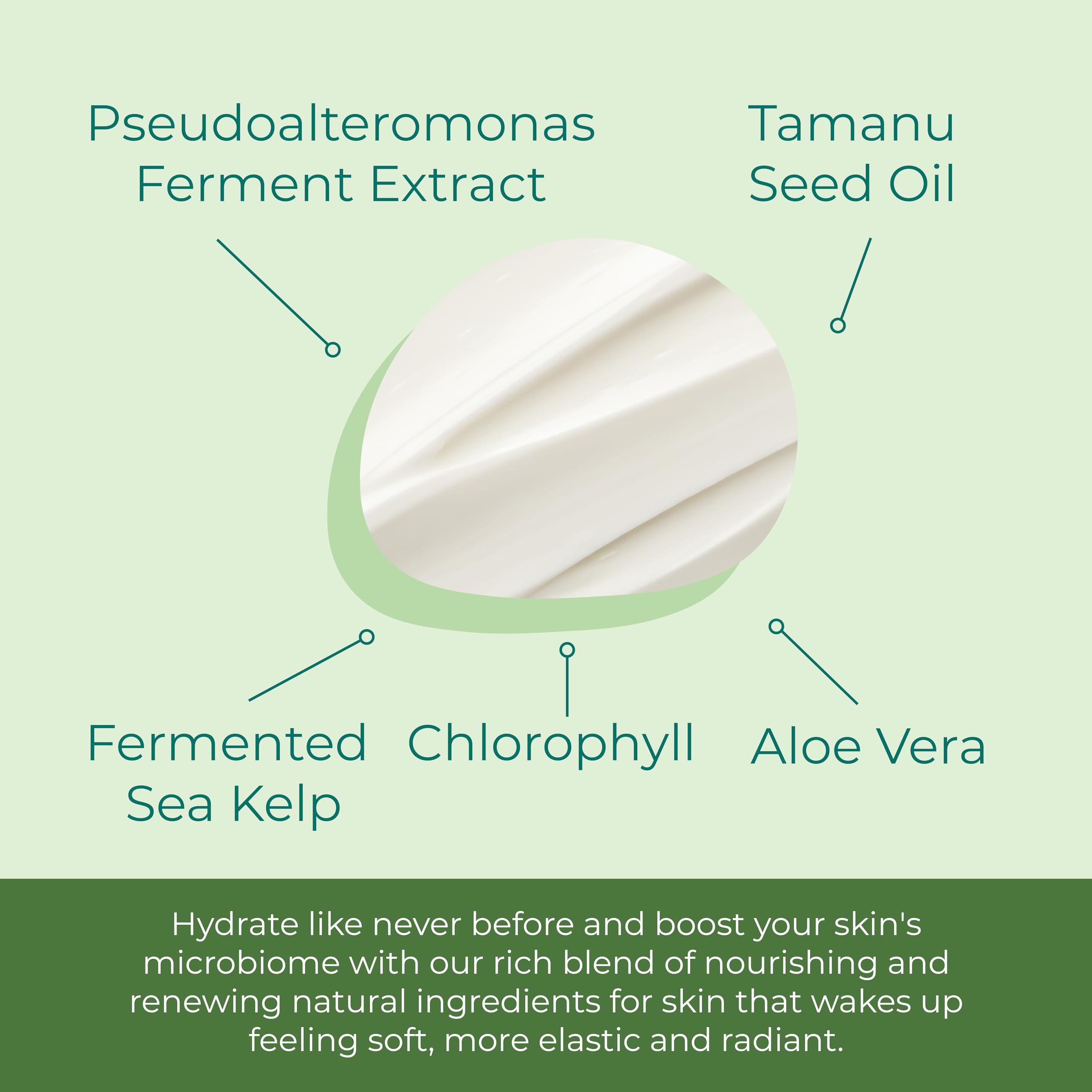 Sea El Lamina Night Cream - 1 oz (30 ml)