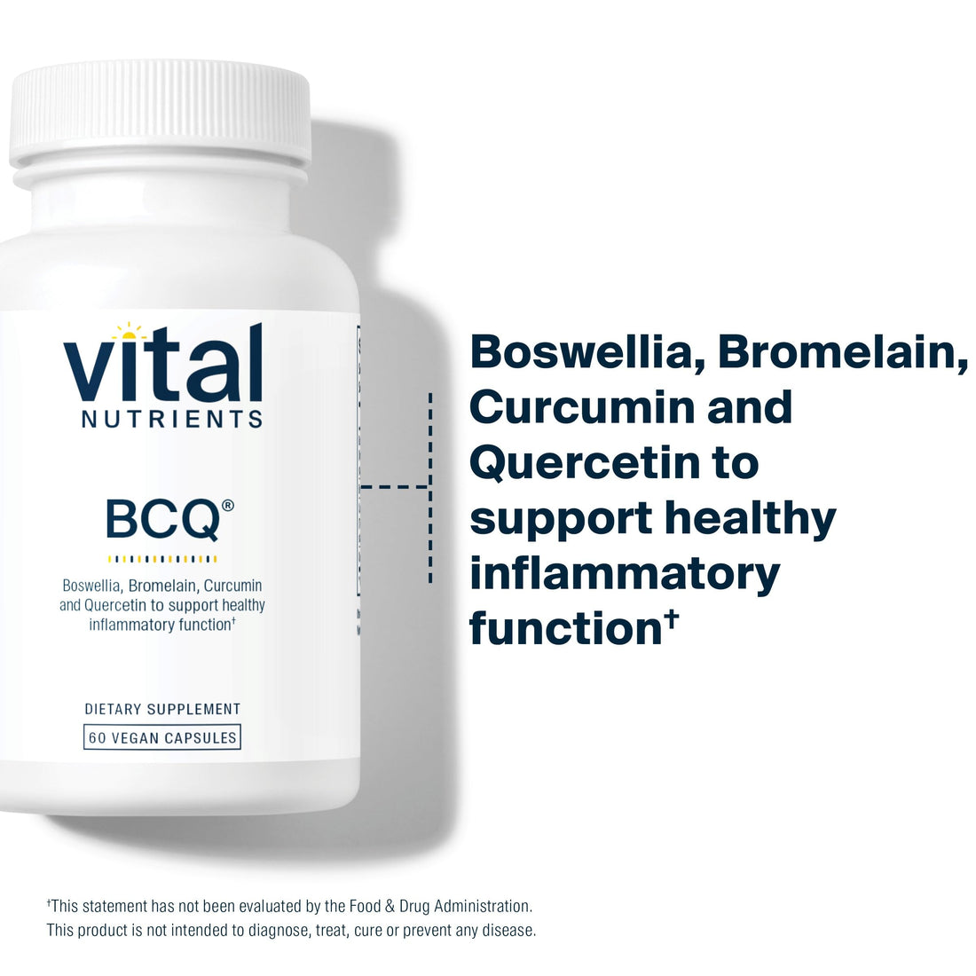 Vital Nutrients BCQ | Vegan Boswellia, Bromelain, Curcumin & Quercetin Supplement | Joint Support Supplement | Supports Sinus & Digestive Health | Gluten, Dairy, Soy Free | 60 Capsules