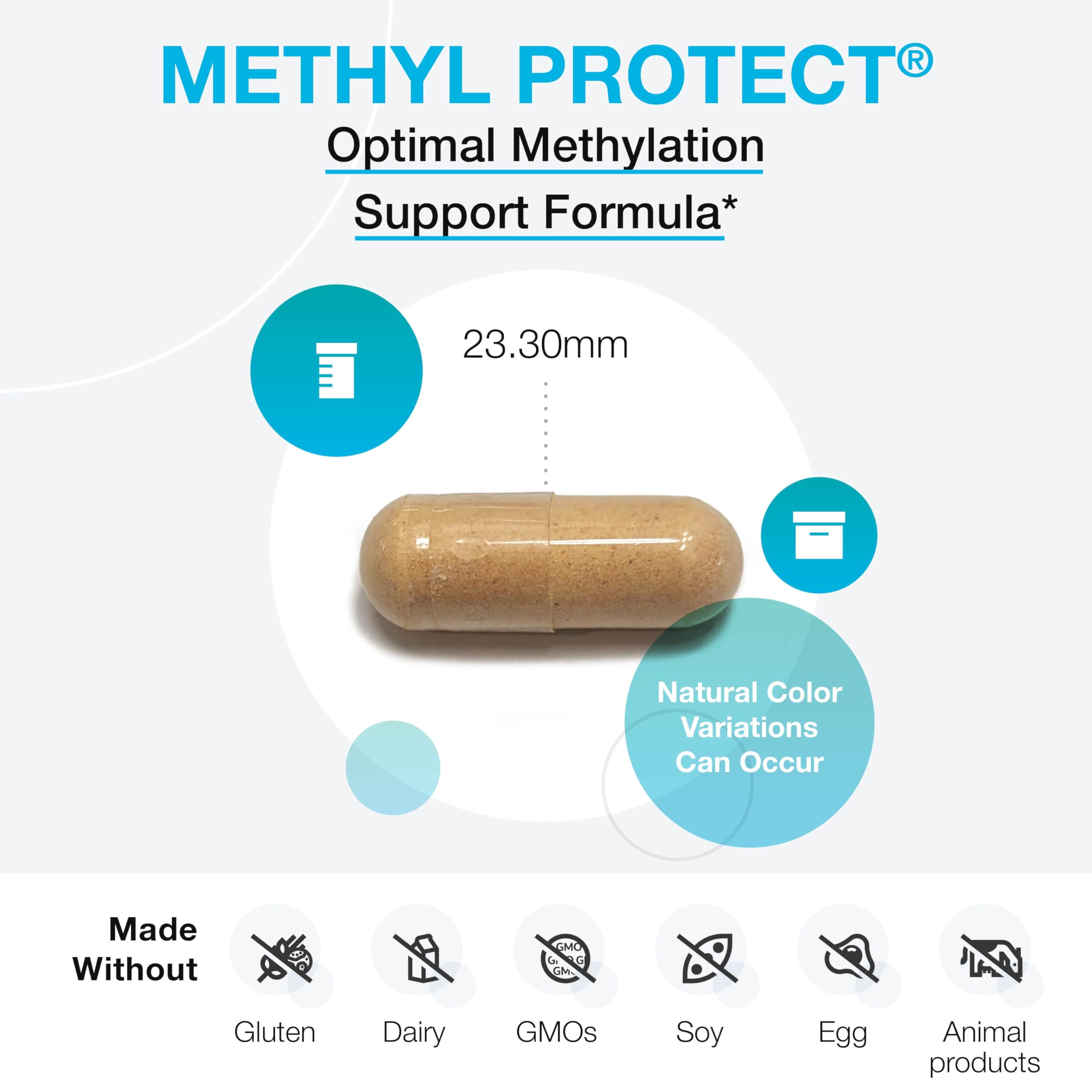 XYMOGEN Methyl Protect - Optimal Methylation Formula with Methyl Folate, Vitamin B12 (Methylcobalamin b12), Riboflavin + B6 Vitamins - Cognitive, Homocysteine + Heart Health Supplements (60 Capsules)