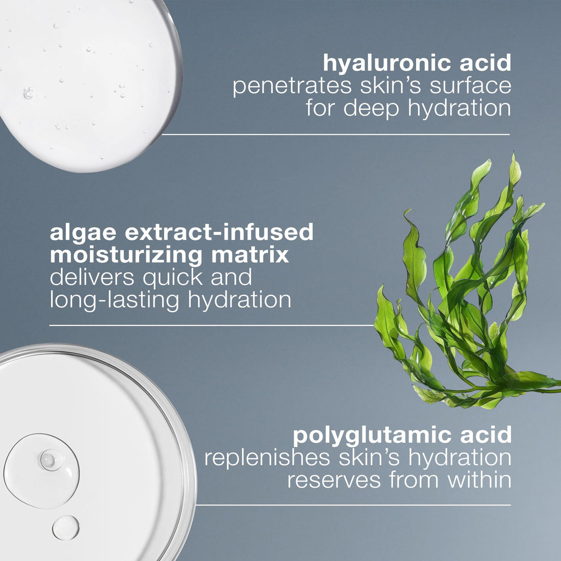 Dermalogica Circular Hydration Face Serum with Hyaluronic Acid - Deep Hydrating and Long Lasting, 0.34 fl oz