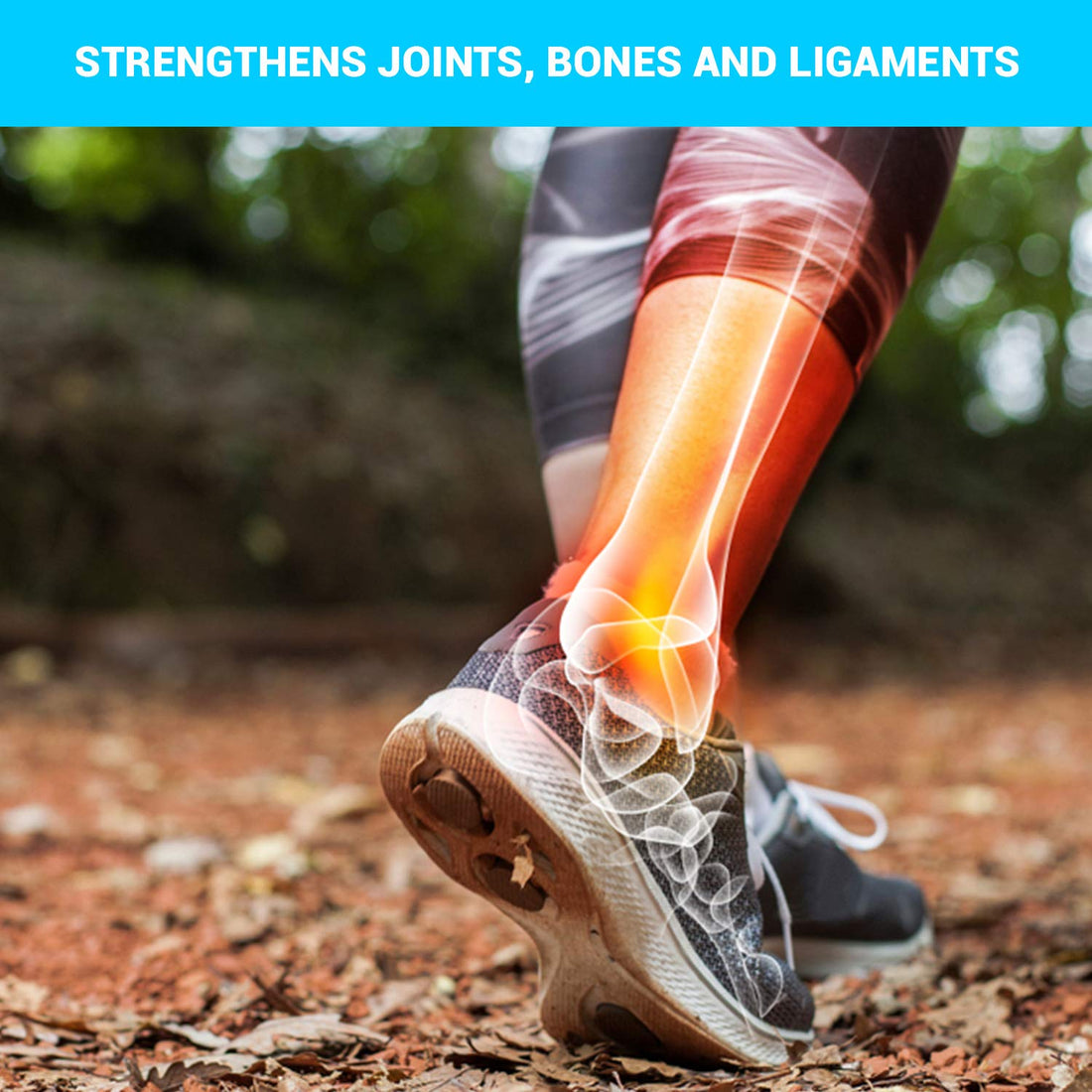 Research Labs 2 for 1 Promo 240 Collagen Pills - 6000 mg Per Day. Grass Fed Anti-Aging Support for Skin, Joints, Tendons, Bones, Hair and Nails. Paleo Friendly. Collagen Peptides Powder Supplement…