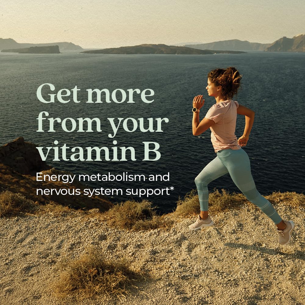 New Chapter Vitamin B Complex – Fermented Coenzyme B Complex Rich in Vitamin B12 + Vitamin B6 + Biotin + Made with Organic Ingredients - 90 ct