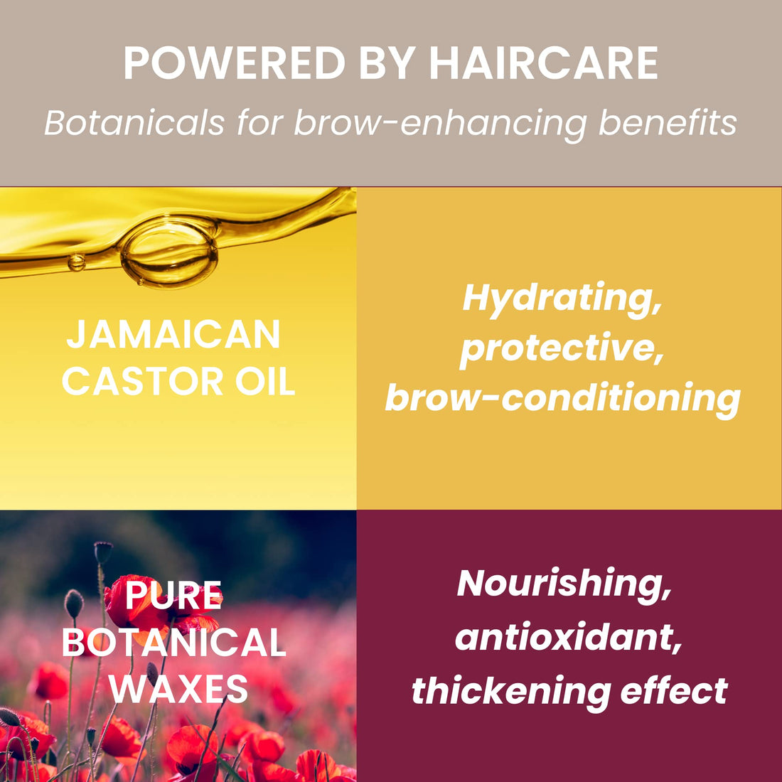 Brow Luxe Definer Pencil by Luscious Cosmetics. Sweat-Proof Eyebrow Pencil. Vegan and Cruelty Free. (Brunette)