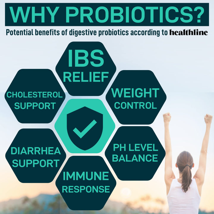 Digestive Enzymes with Probiotics and Prebiotics - Gut Health, Digestion IBS Supplement with Artichoke Ginger Turmeric – Vegan Probiotic Enzymes Digestive Health and Bloating Relief - 180 Caps