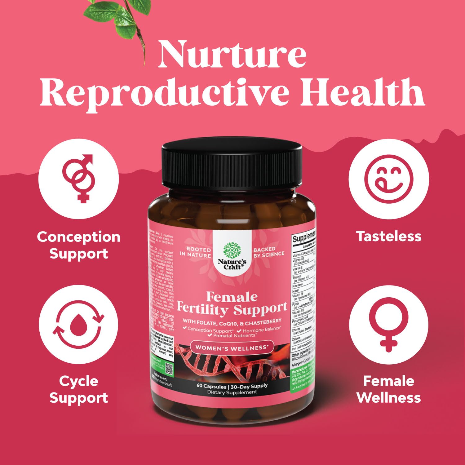 Fertility Supplement for Women with Prenatal Multivitamins - Female Fertility Support with Prenatal Choline Inositol Folate Chasteberry and CoQ10 Blend for Women to Promote Faster Conception