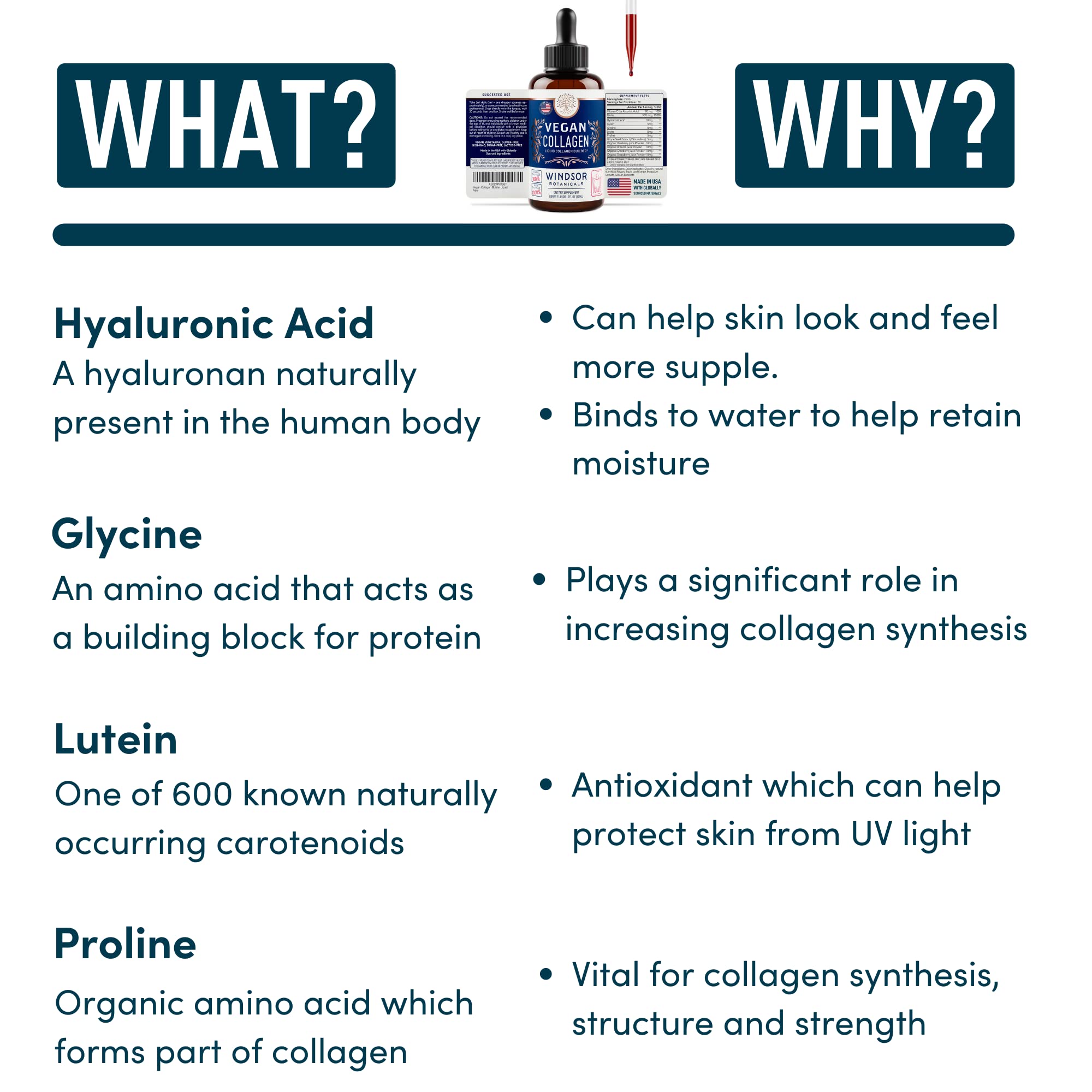 WINDSOR BOTANICALS Vegan Collagen Builder Liquid Supplement - Collagen Booster with Vitamin C, Biotin, Hyaluronic Acid & Amino Acids - Organic Fruit & Vegetable Blend - 60ml, 30 Day