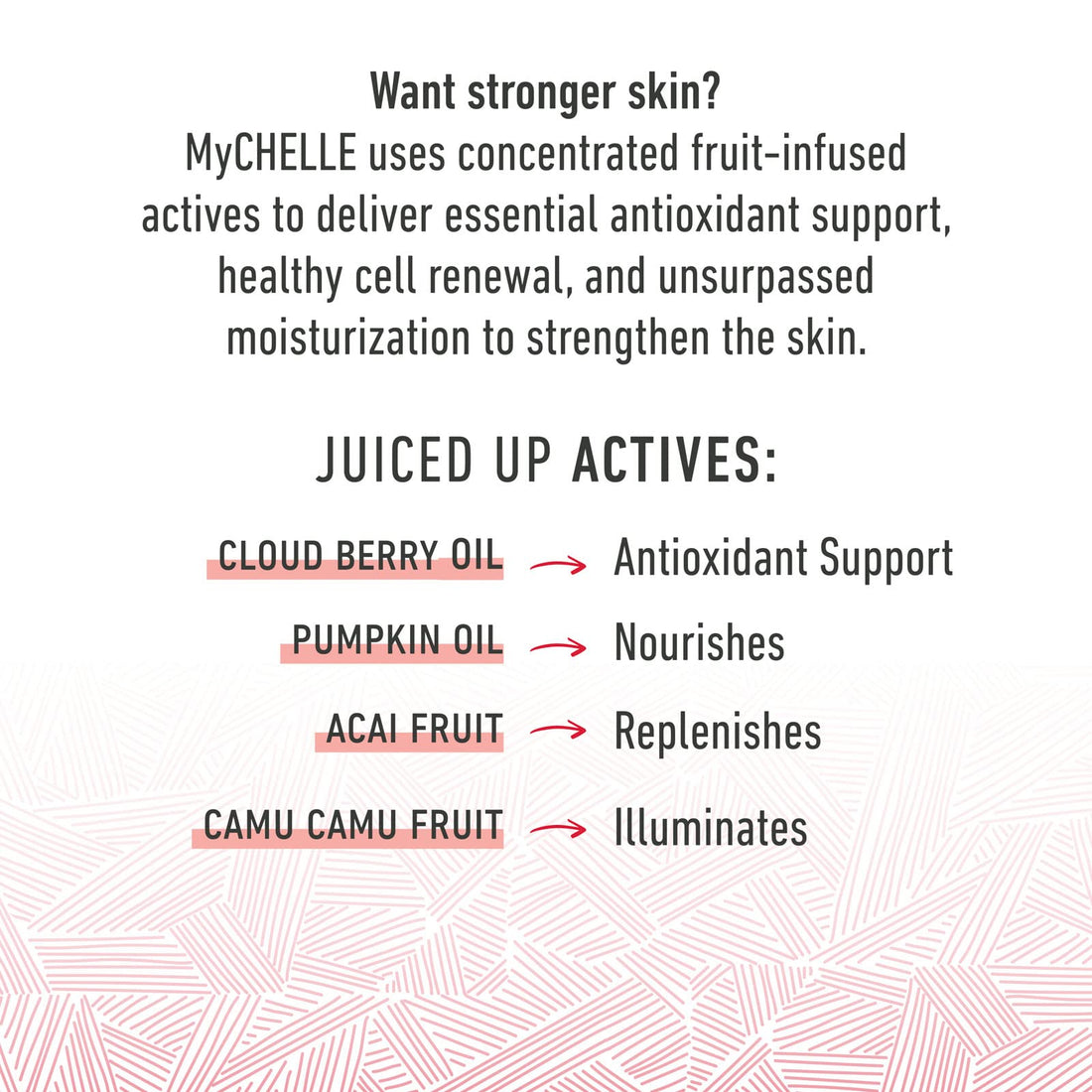 MyChelle Pumpkin Renew Cream, Lightweight Antioxidant-Rich Moisturizer with Shea Butter for All Skin Types, 1.2 fl oz