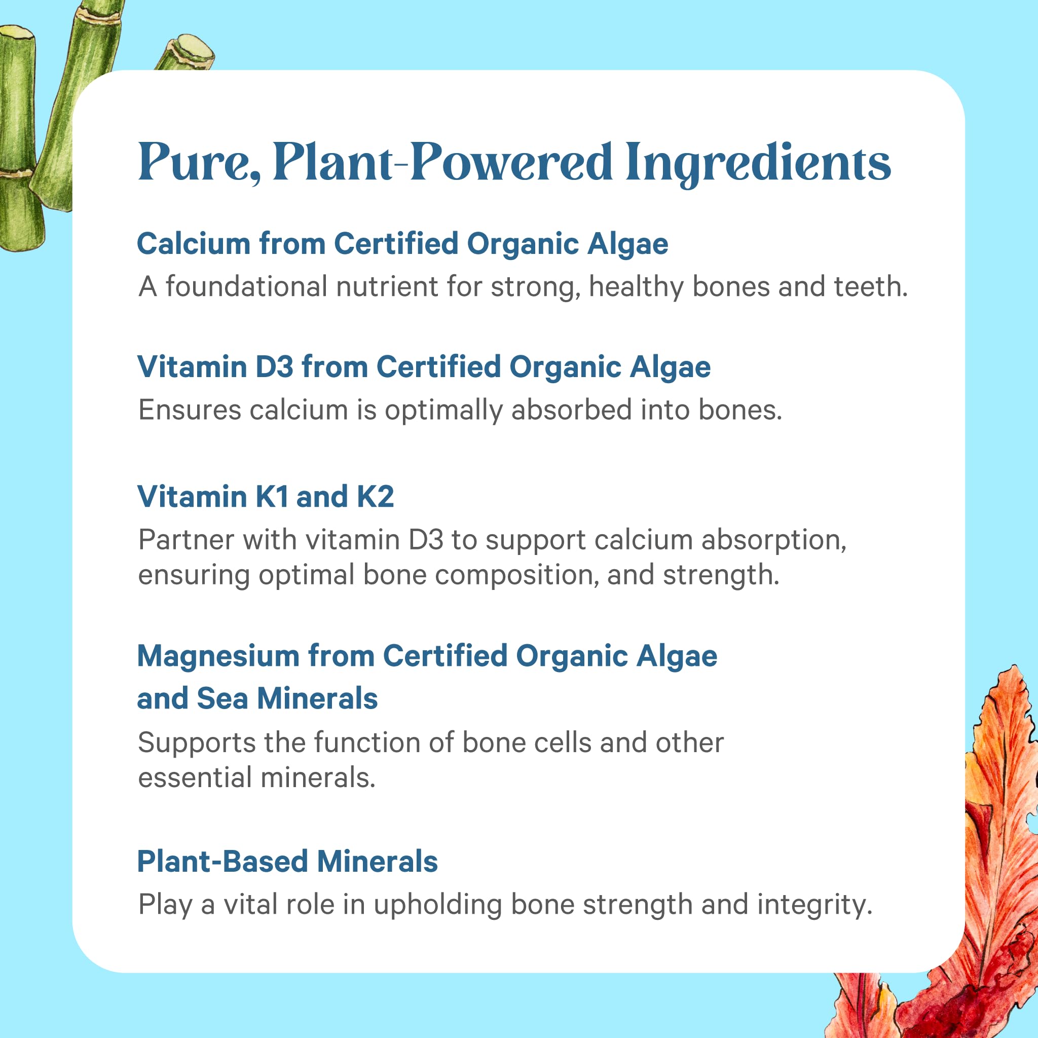 PURE SYNERGY Bone Renewal | Bioavailable Calcium with Cofactors | Natural, Vegan Bone Health Supplement with Vitamin D3, K2, Magnesium, & Boron | for Lasting Bone Strength (150 Capsules)