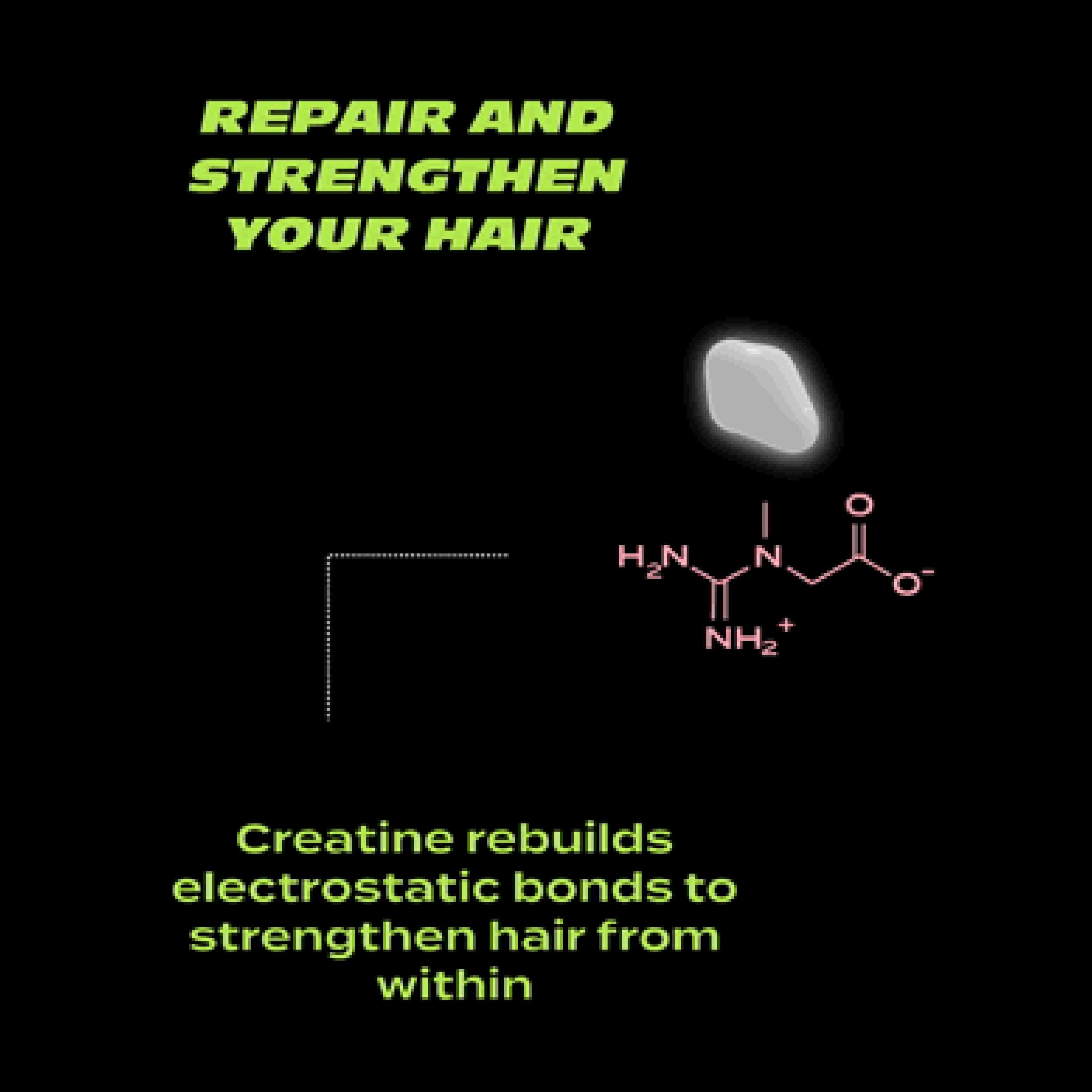 Bleach London Reincarnation Bond Restoring Purple Shampoo - Strengthening Daily Brightening Shampoo for Silky Soft, Shiny Blonde hair - Vegan & PETA-Approved - (10.1 fl oz)