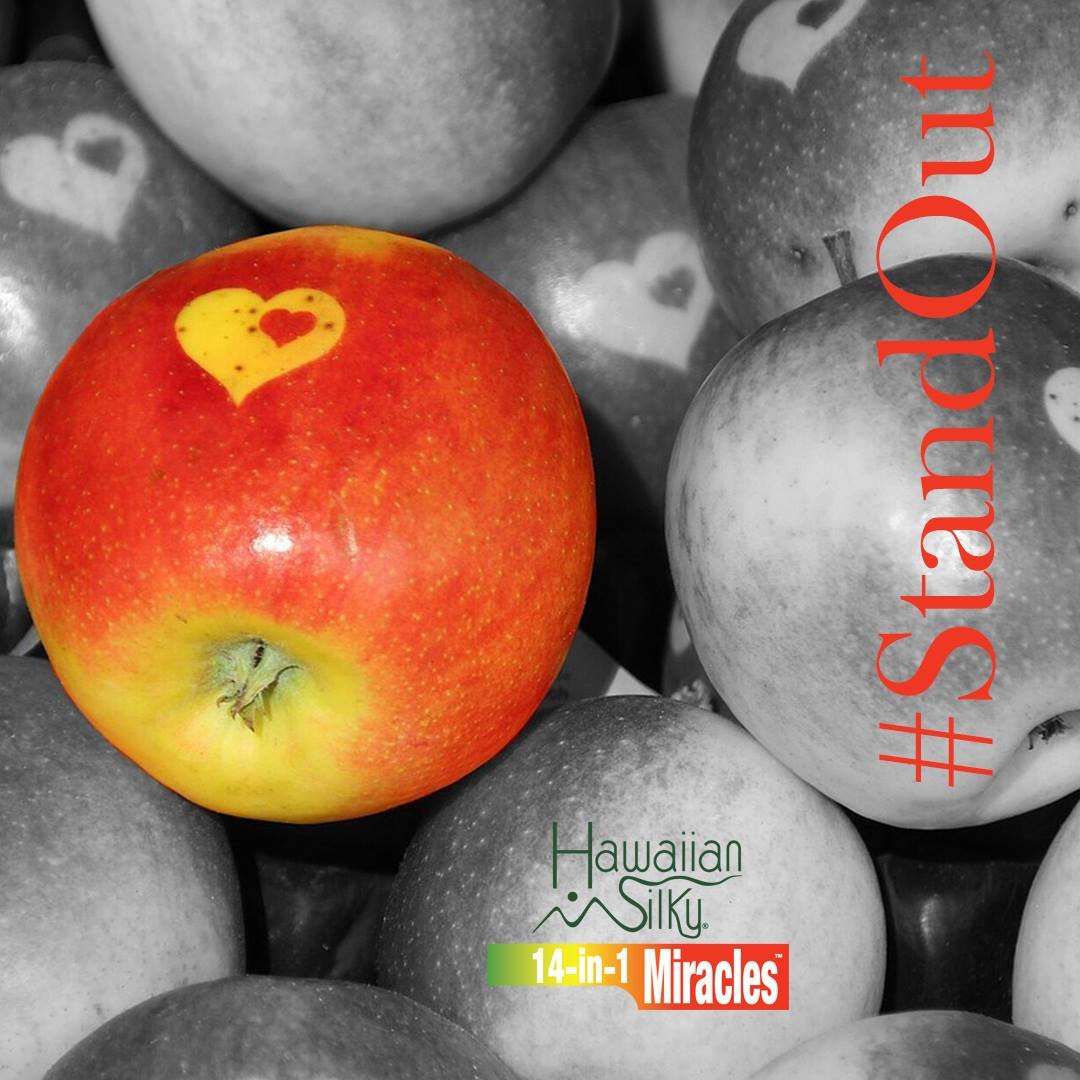 Hawaiin Silky Apple Cider Vinegar Static Free Leave-in Conditioner 8 oz by Hawaiin Silky