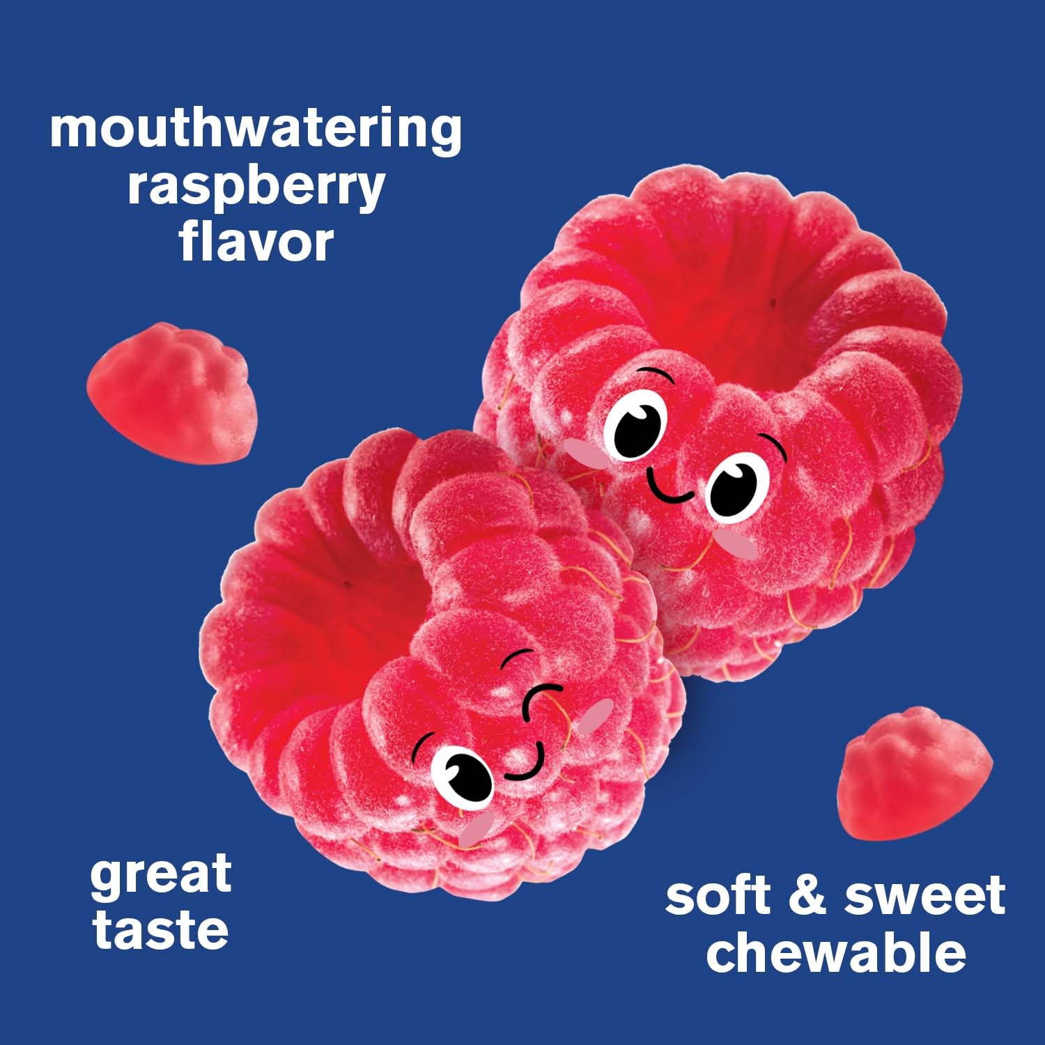 Kid's Calcium, Magnesium, Zinc + Vitamin D3 Gummies by WellYeah | Bone, Muscle and Nerve Health Support, Immune Support | for Men and Women | Gluten Free, Non GMO | Raspberry Flavor | 60 Count