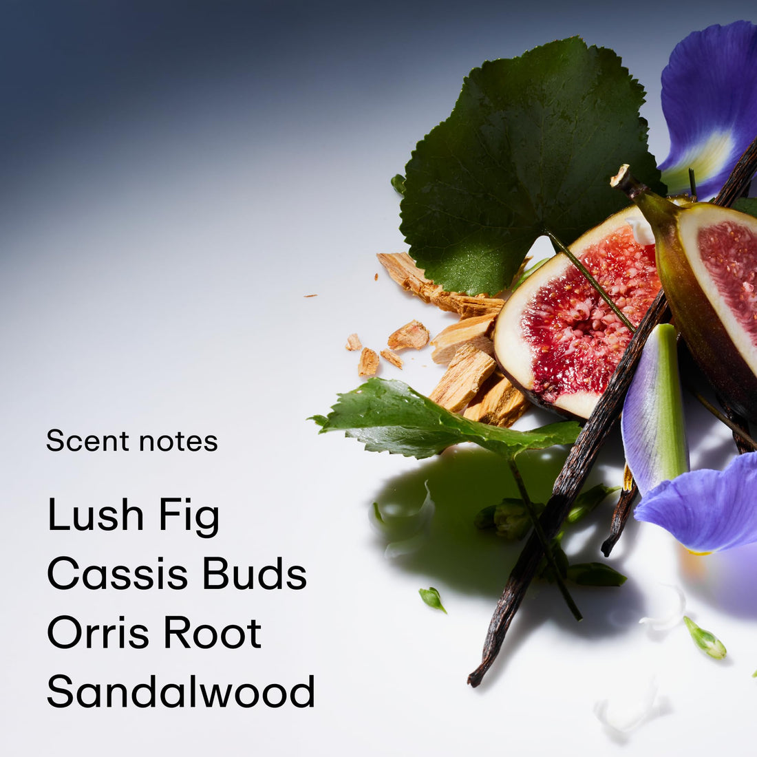 PHLUR Father Figure Natural Deodorant - 48 Hour Odor Protection Baking Soda Free & Aluminum Free Deodorant - Salicylic Acid, Arrowroot Powder & Tamanu Oil - No Residue or Irritation