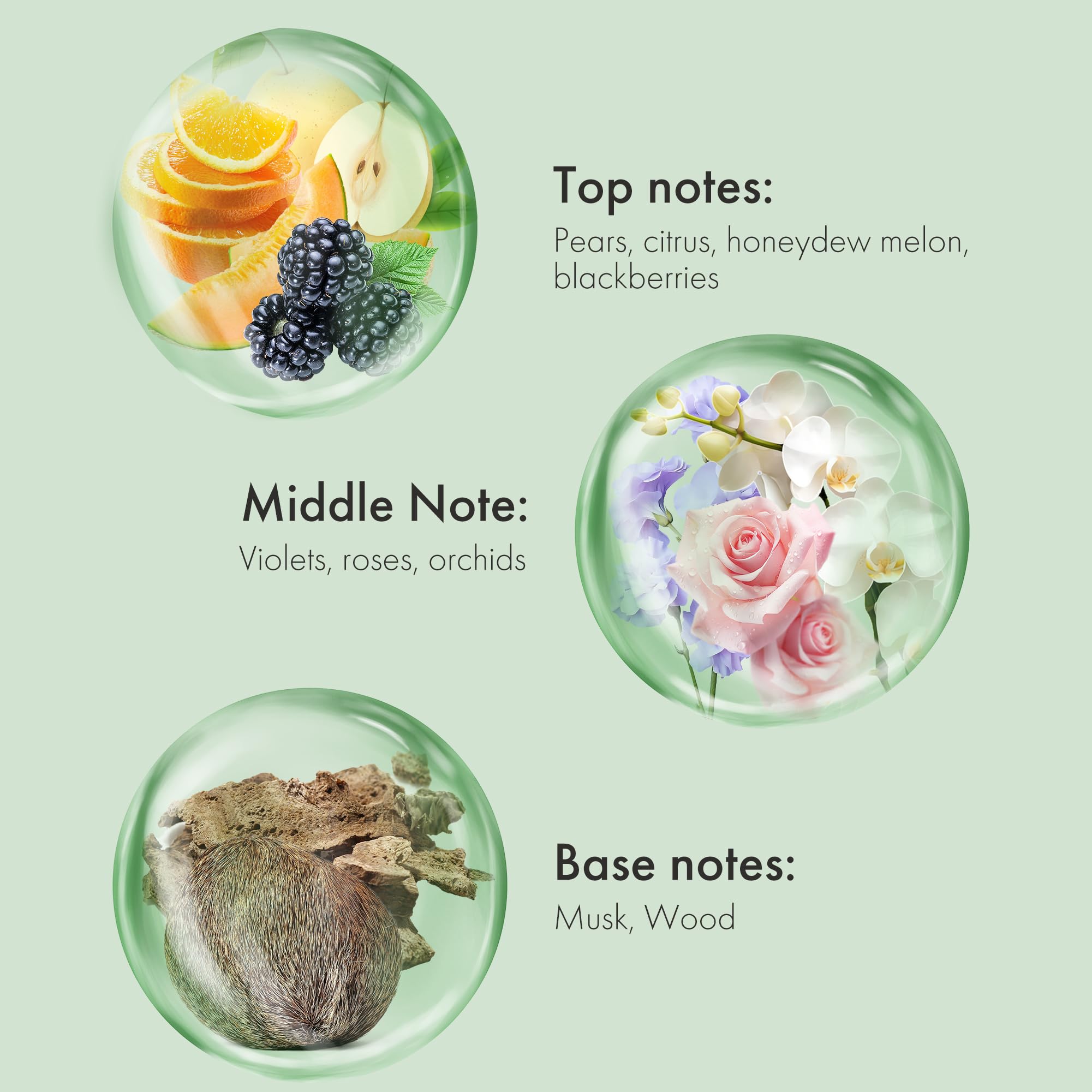 ALFHEIM Coffee+ Thickening Leave-In Conditioner | Biotin & Caffeine for Hair Growth & Strength | Lightweight, Nourishing & Volumizing Spray | Sulfate-Free, Paraben-Free | 5.4 oz