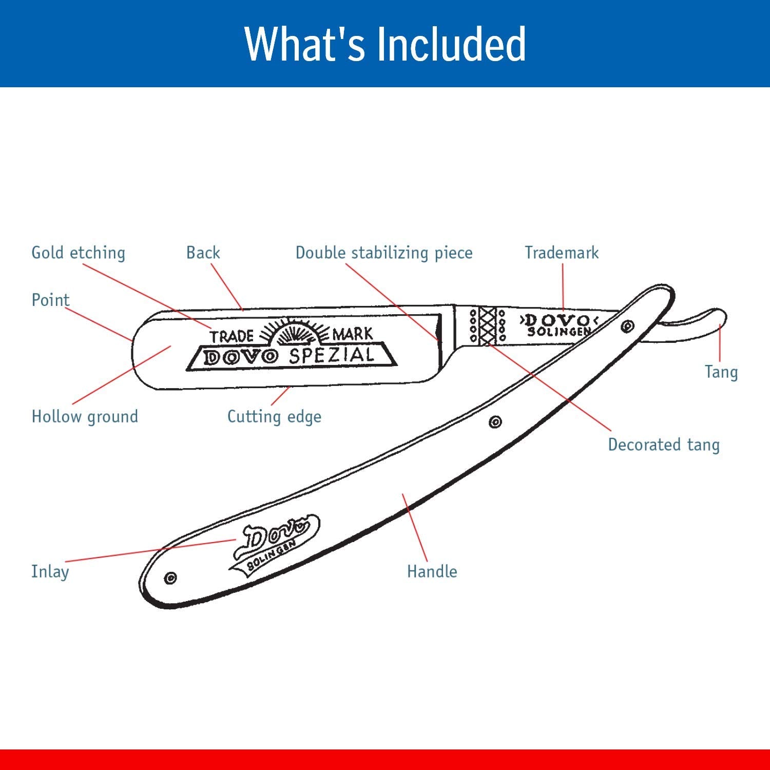 Dovo Encina Straight Razor, Spanish Oak Handles, Full Hollow, Stainless Steel, 6/8 Blade