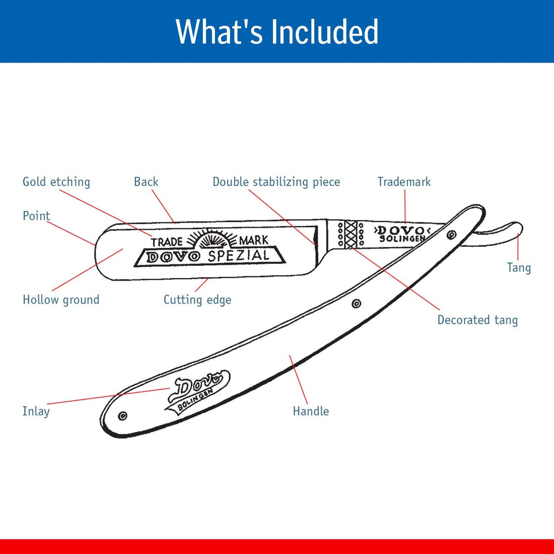 Dovo Encina Straight Razor, Spanish Oak Handles, Full Hollow, Stainless Steel, 6/8 Blade