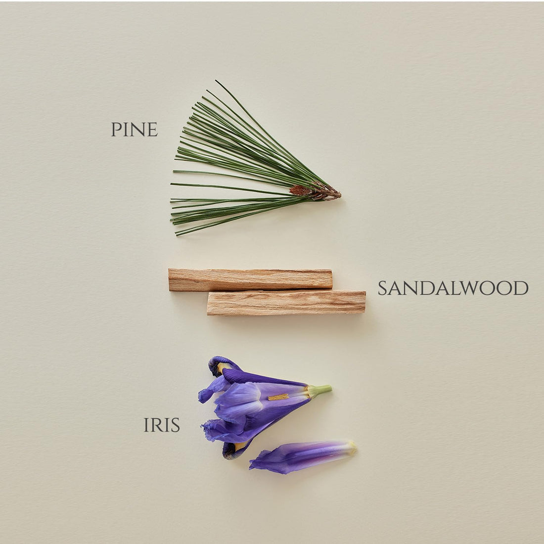 Beauty of Joseon Pine Grove : Eau De Perfume (30ml, 1fl.oz.)