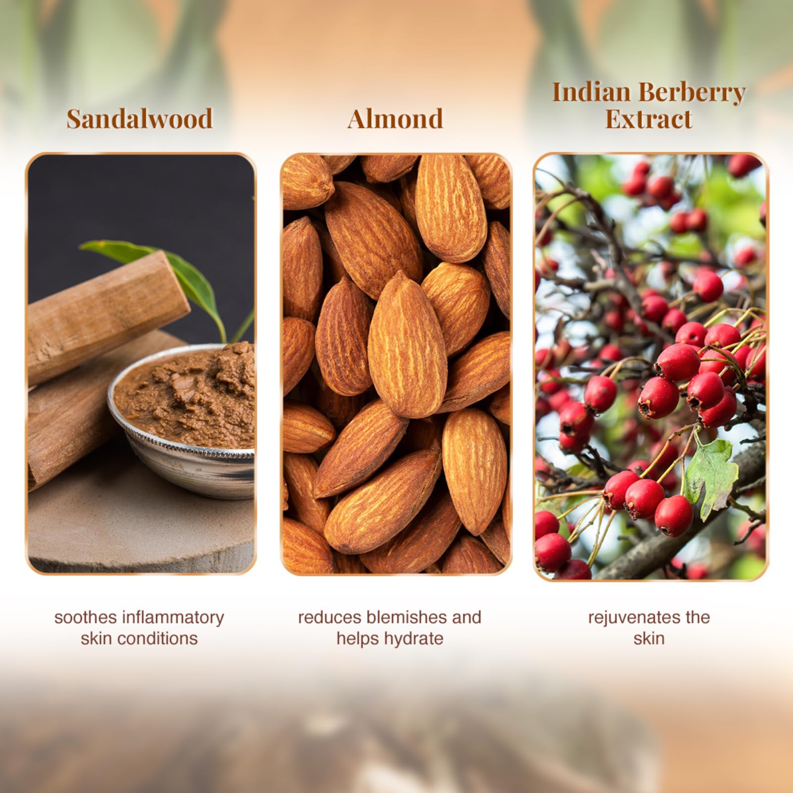 VLCC Sandal Cleansing Milk - 100ml - Deep Cleanses & Soothes Skin. With Sandal, Ashwagandha, Fenugreek & Indian Berberry Extracts, Almond and Olive Oils.