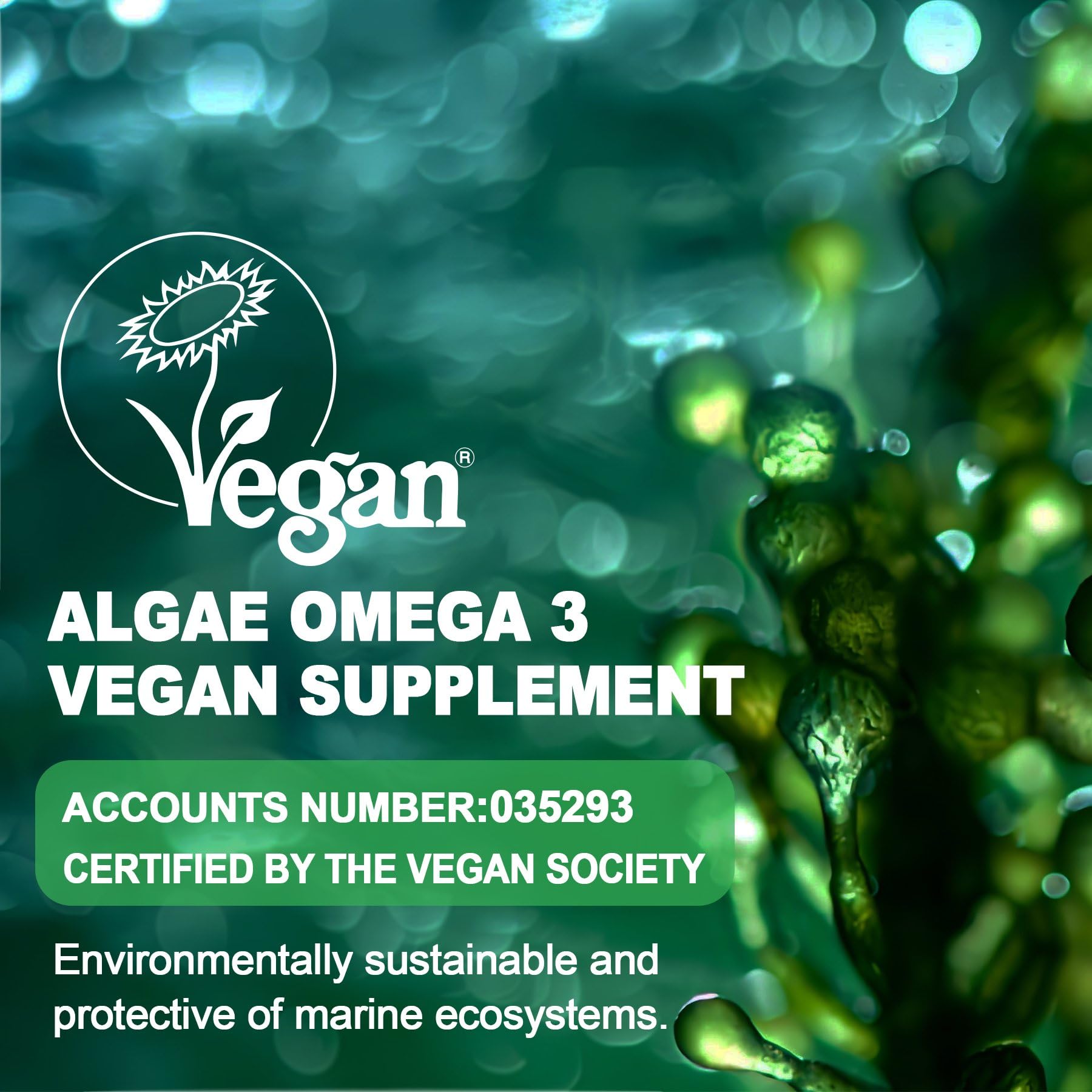 Vegan Omega 3 Supplement Gummies 1100mg, Algae DHA 640mg & EPA 290mg from Marine, with CoQ10, Astaxanthin, Vitamin E, A, D3 for Brain, Eye, Bone, Fish Oil Supplements, Sugar Free 60 Counts
