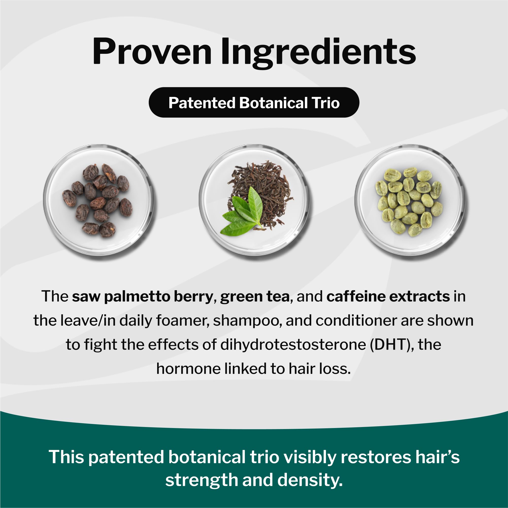 Shapiro MD Shampoo Containing the 3 Most Powerful, All-Natural DHT Blockers for Thicker, Fuller, and Healthier Hair (1 Month Supply) (Shampoo)