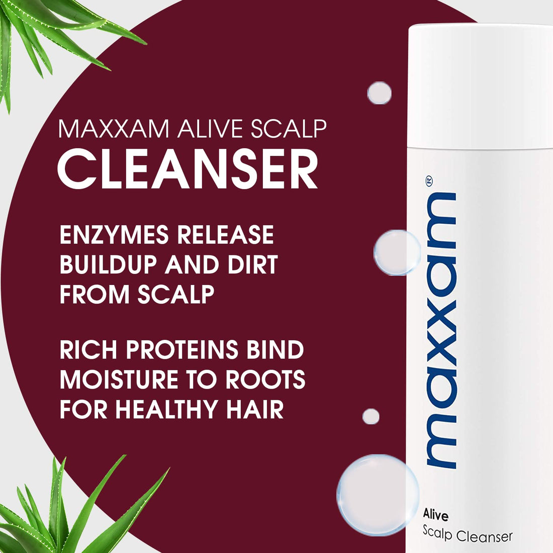 Maxxam Alive Cleansing Shampoo for Hair Growth and Scalp Care, Fermented Rice Shampoo for Clean and Youthful Hair