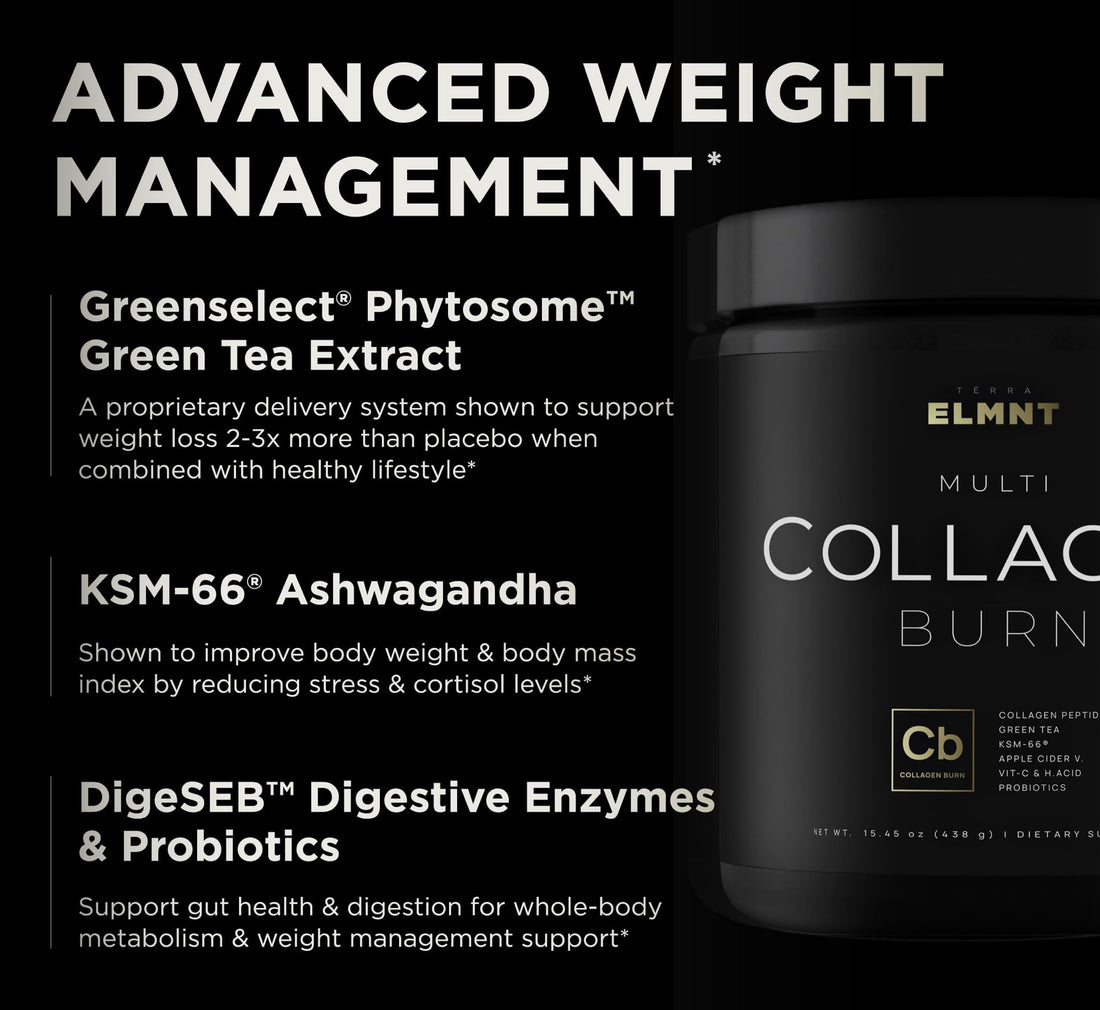 ELMNT Premium Chocolate Collagen for Women Weight Loss & Beauty w. Probiotics, ACV, KSM66, Hyaluronic Acid, Biotin & Patented Multi Collagen Peptides Protein Powder - Colageno Hidrolizado for Women