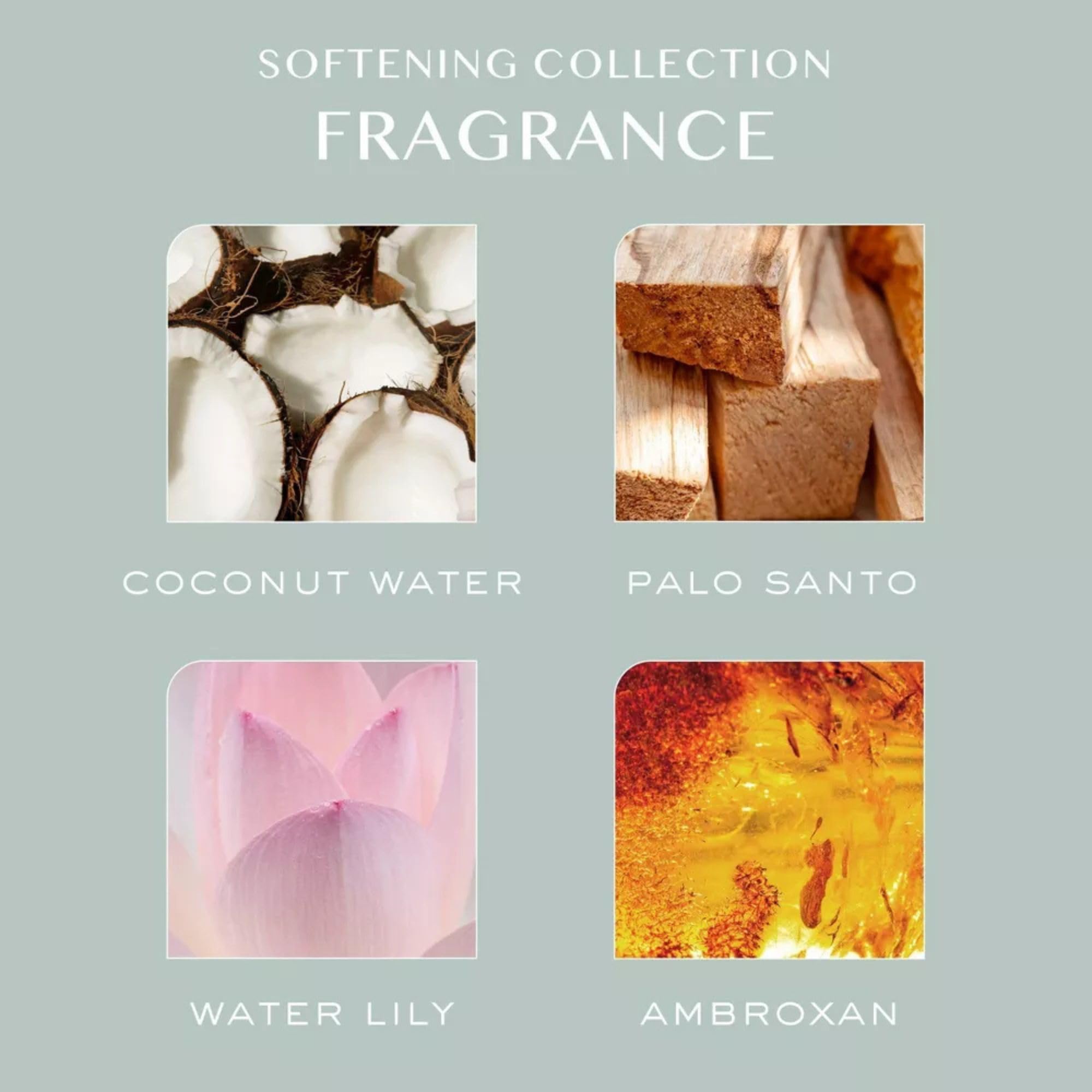 Kristin Ess Hair Softening Shampoo & Conditioner Set - Clarify + Remove Excess Buildup - Color-Safe + Sulfate-Free - For All Hair Types - 10oz Bundle