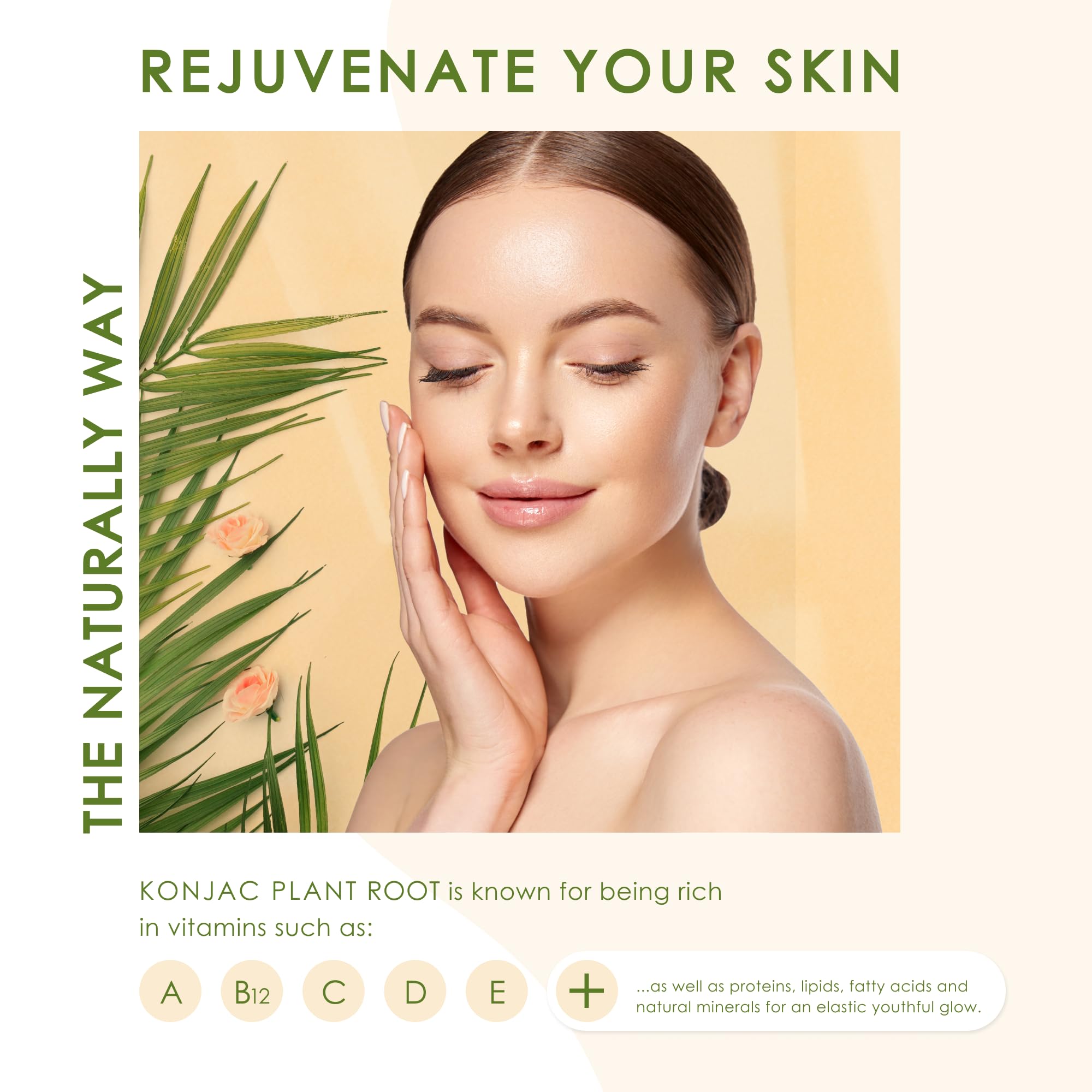 Konjac Body Sponge (2 Pack) Exfoliating Crushed Walnut | 100% Natural & Dye Free | Non-Toxic | Biodegradable | Eco-Friendly | Plastic Free Packaging