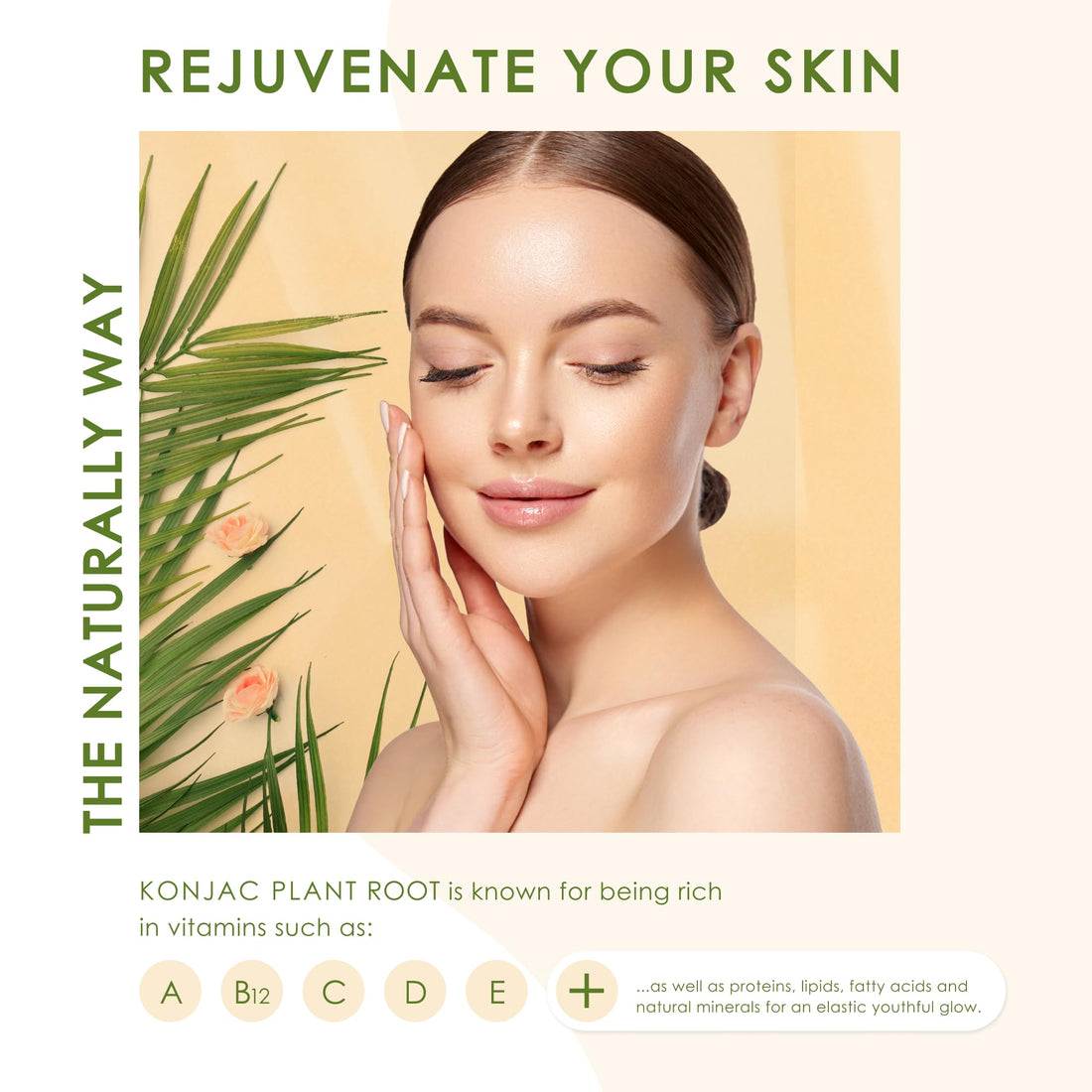 Konjac Body Sponge (2 Pack) Exfoliating Crushed Walnut | 100% Natural & Dye Free | Non-Toxic | Biodegradable | Eco-Friendly | Plastic Free Packaging