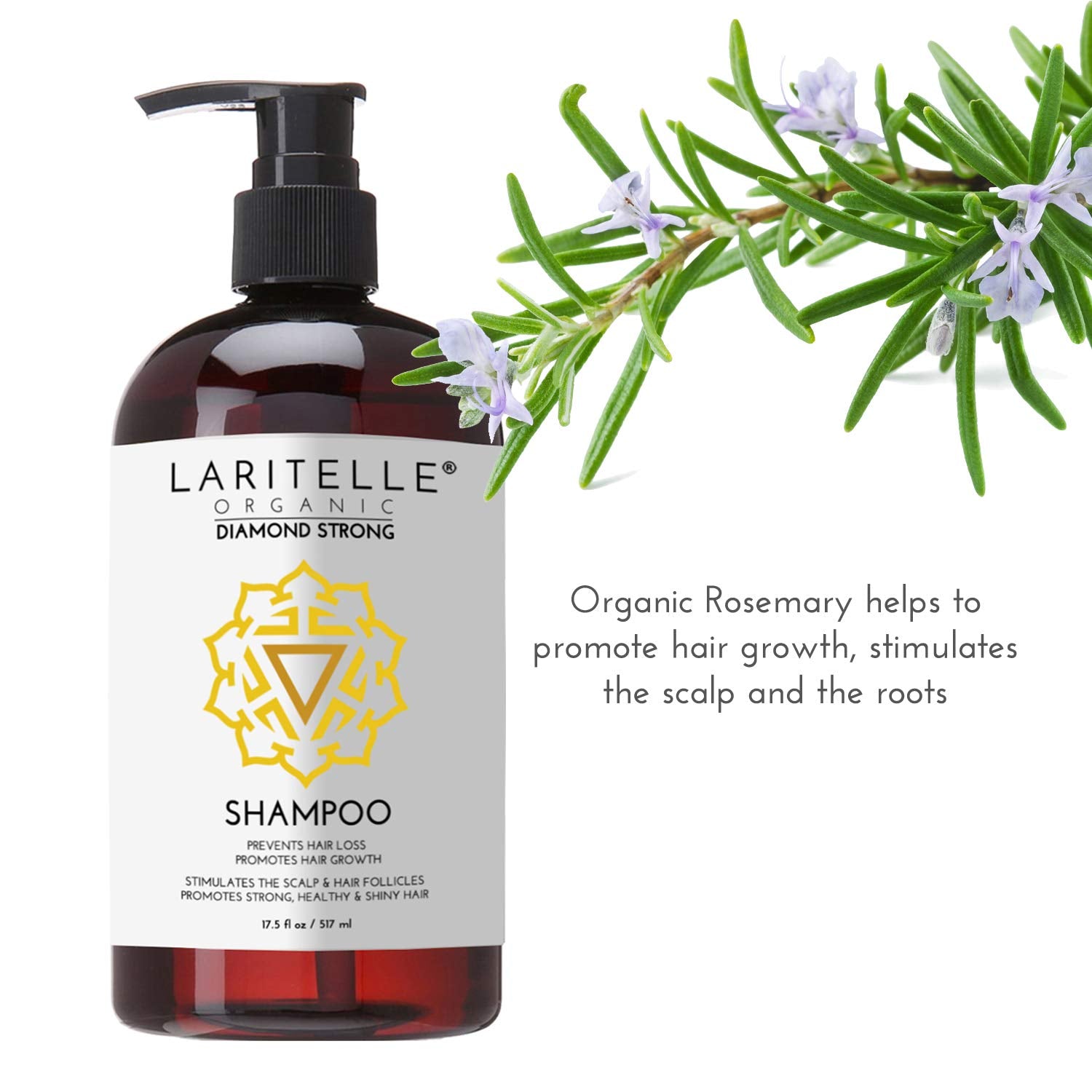 Laritelle Organic Shampoo 17.5 oz. Argan Oil, Ginger, Cedarwood. Promotes Hair Growth, Prevents Hair Loss. GF