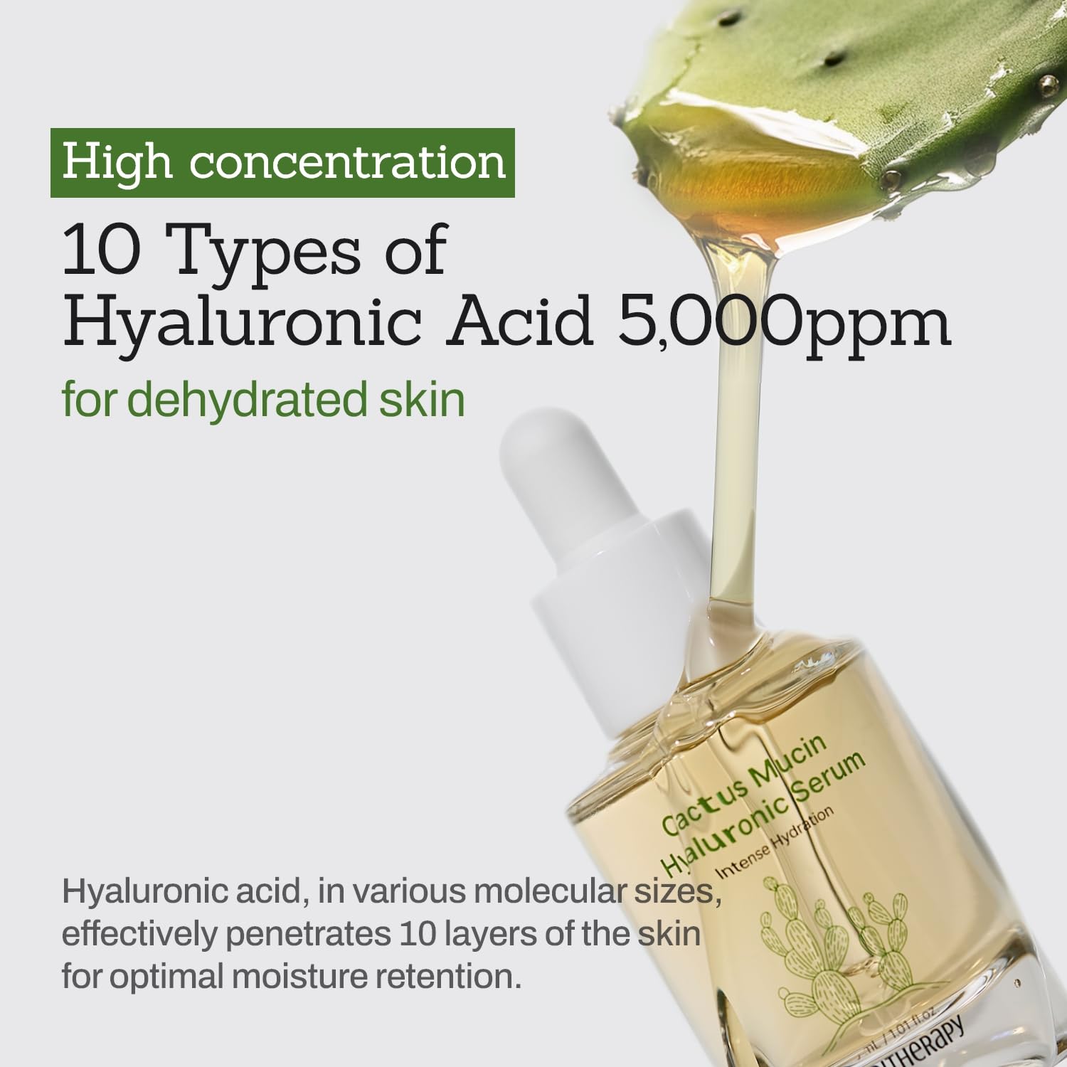 Cactus Mucin Hyaluronic Serum - Korean Hyaluronic Acid Serum for Face - Hydrates 10 Layers Deep with Moisture-Locking Effect, Repairs Skin Barrier - Vegan Serum for Dry and Sensitive Skin, 1.01 fl.oz