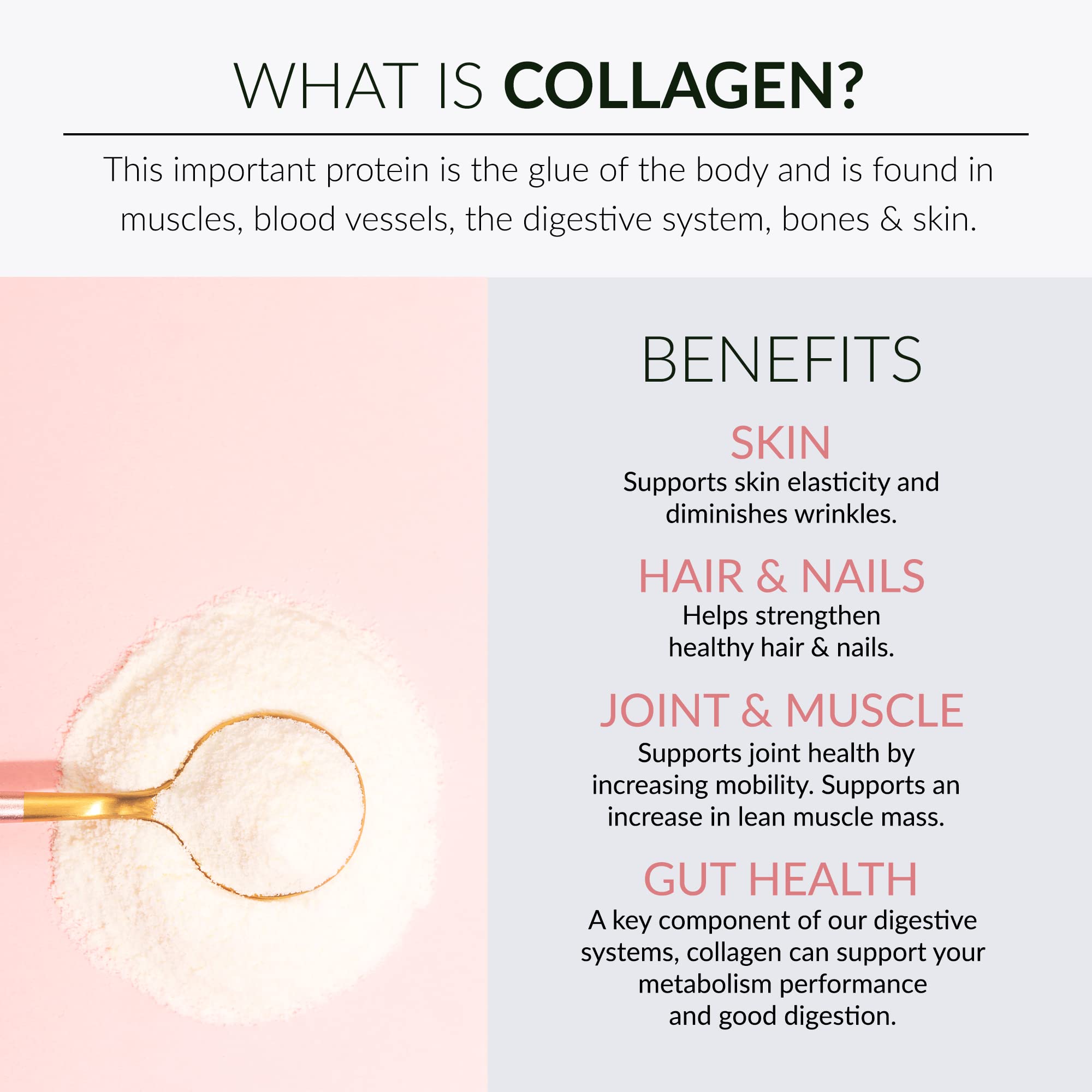 Alaya Multi Collagen Powder - Type I, II, III, V, X Hydrolyzed Collagen Peptides Protein Powder Supplement with MSM + GC (Raspberry Lemonade)
