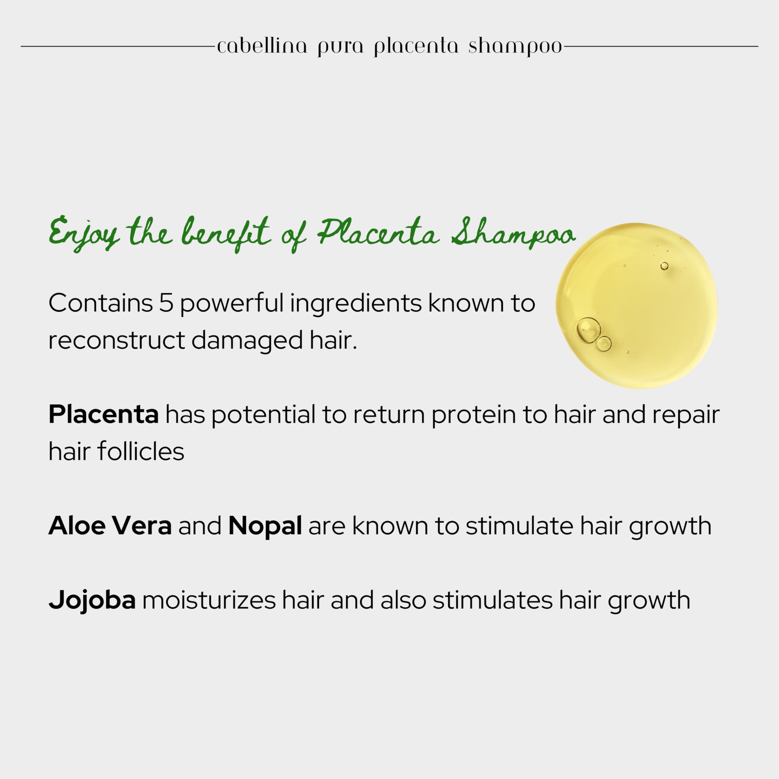 Cabellina Reconstructor Shampoo with Proteins, Keratin Amino Acids & Natural Oils. Includes Root Brush - 32 fl oz - PURA PLACENTA (1 Count)