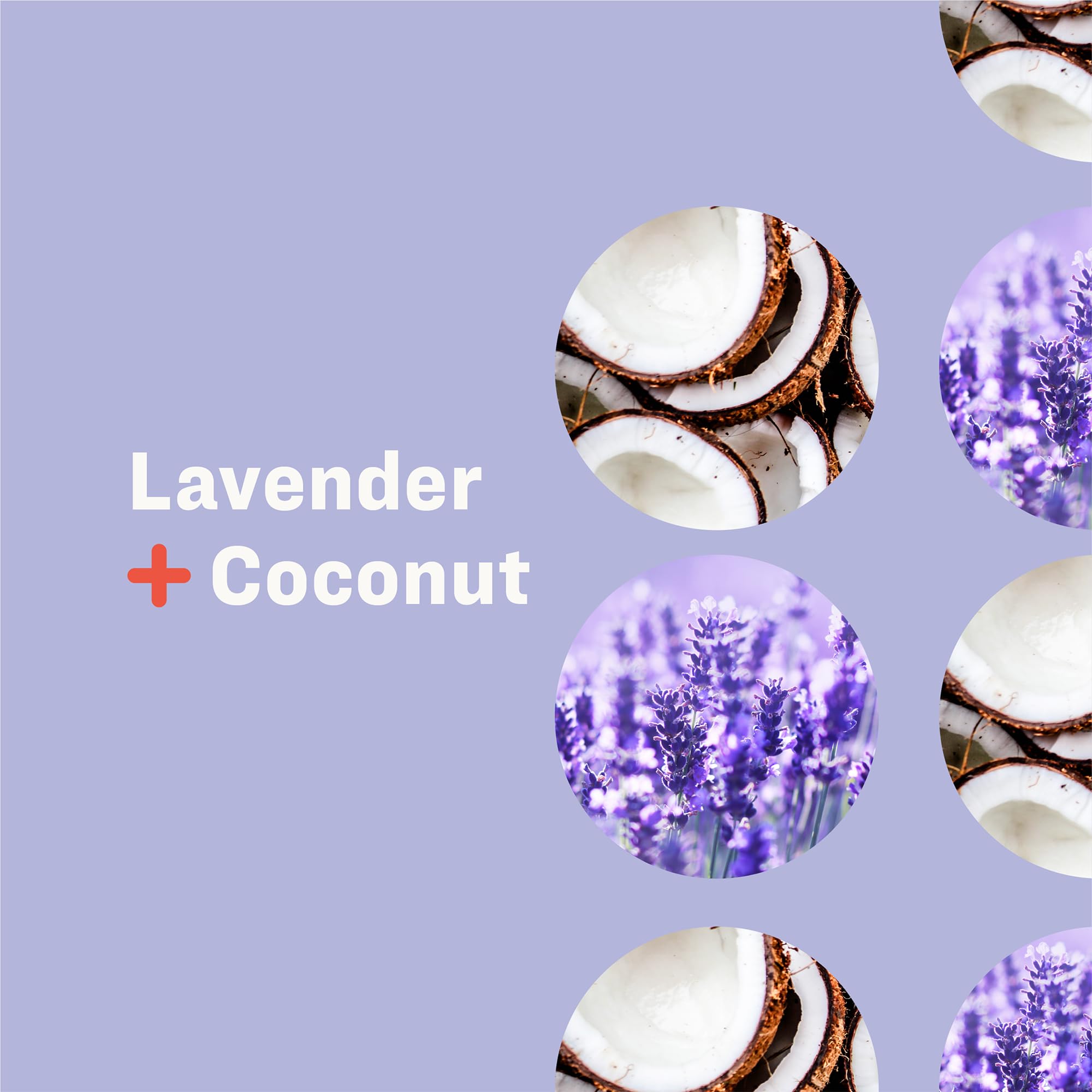 Everyone Hand Soap, Lavender Coconut, 3 Count