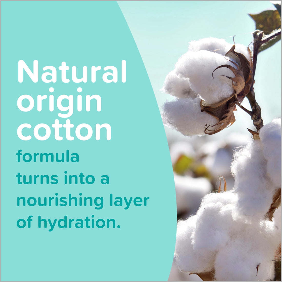 Johnson's Cotton Touch Newborn Baby Face and Body Lotion27.1 fl. oz