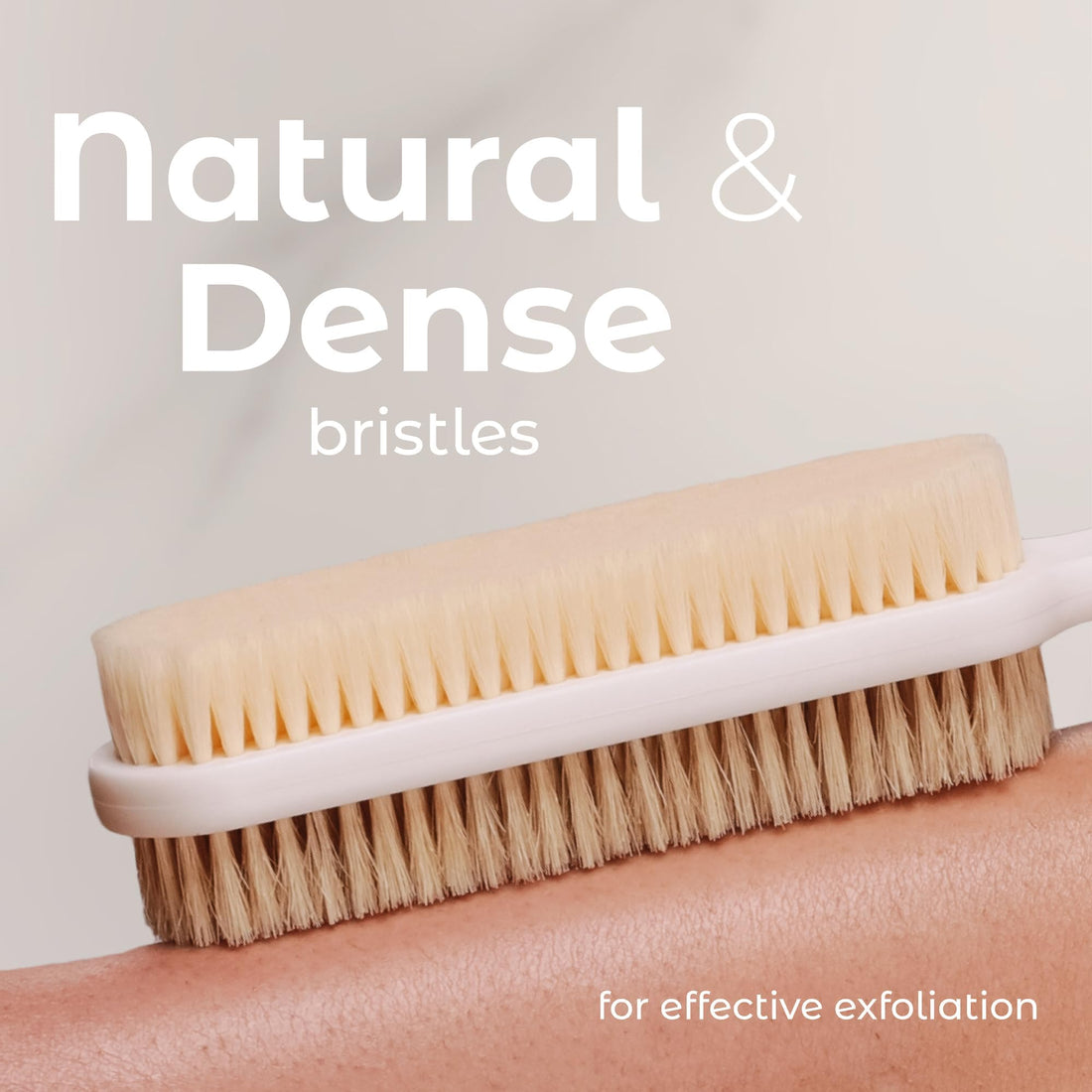 MainBasics Shower Brush Back Scrubber Dual-Sided Body Brush Long Handle with Soft and Stiff Bristles for Dry & Wet Brushing (White)