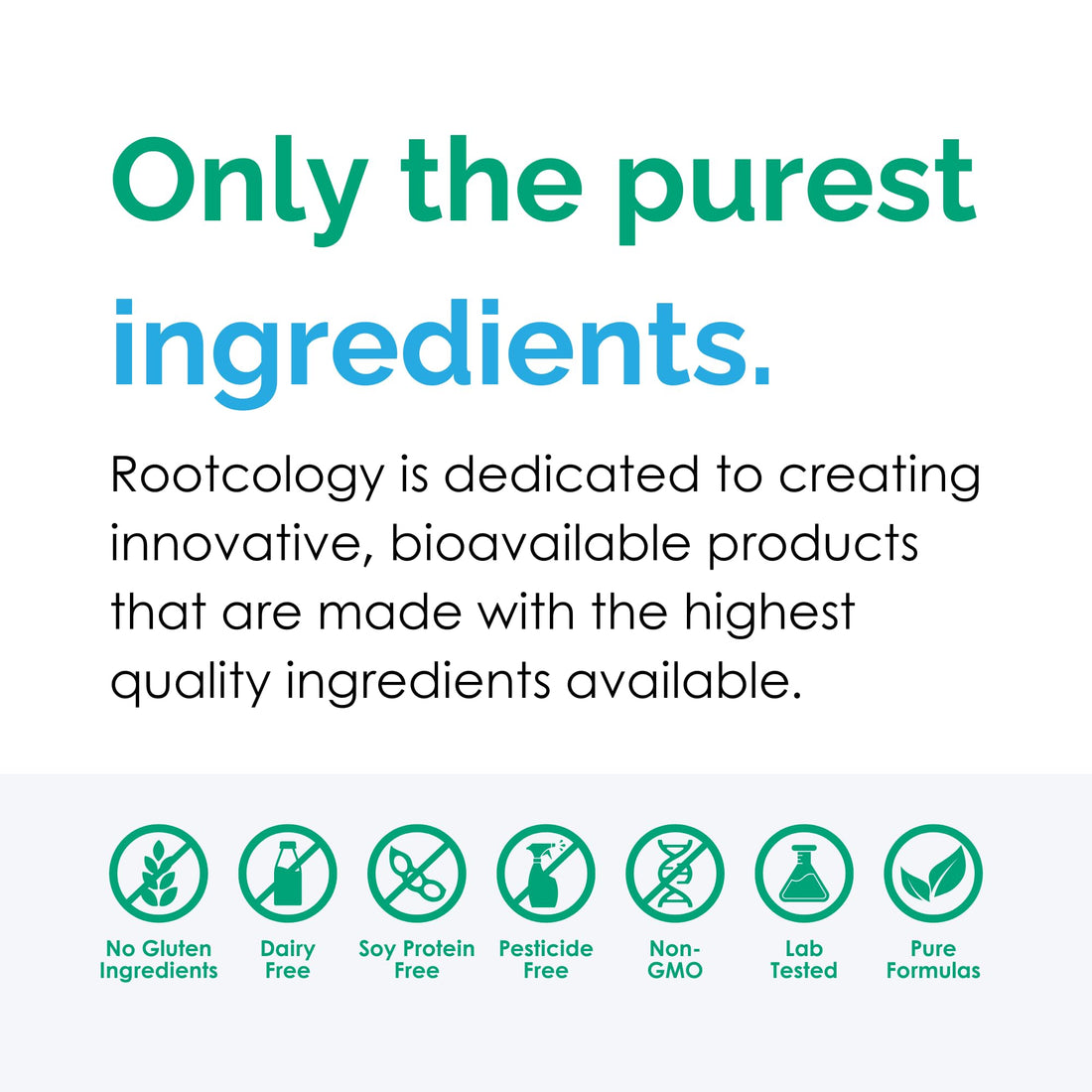 Rootcology by Dr. Izabella Wentz | Pancreatic Enzymes Plus | Enteric Coated Lipase, Protease & Amylase Blend with Bromelain | 90 Capsules