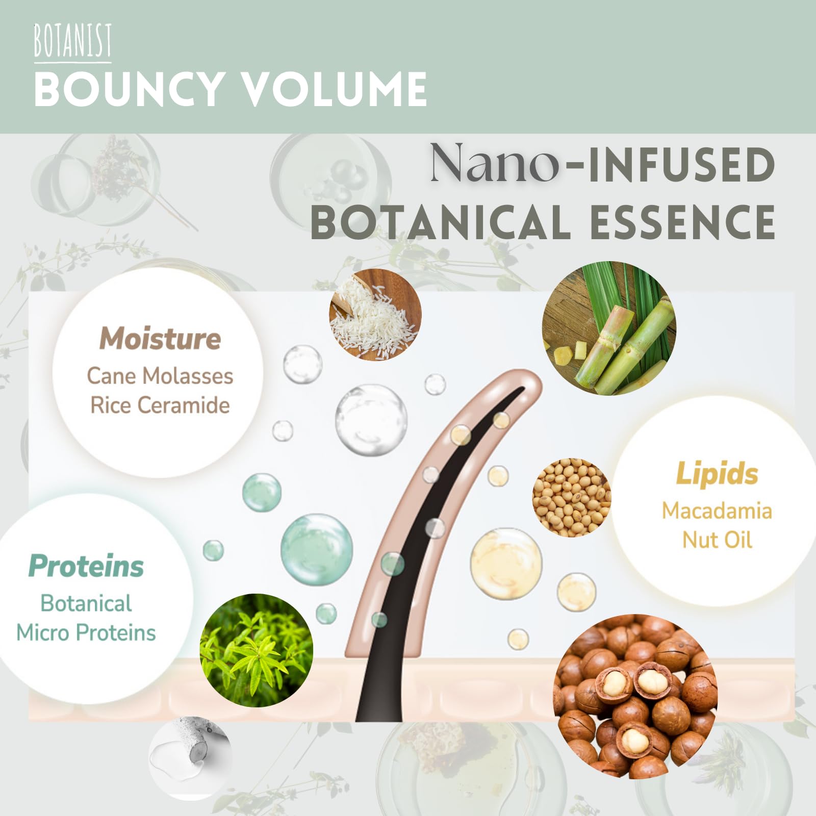 Botanist Organic Hair Conditioner for Fine & Thinning Hair Women & Men, Natural Scalp Treatment with Citrus Extract & Chamomile Extract from Japan, Silicone& Paraben Free, PEAR& CHAMOMILE, 16.2 Fl Oz