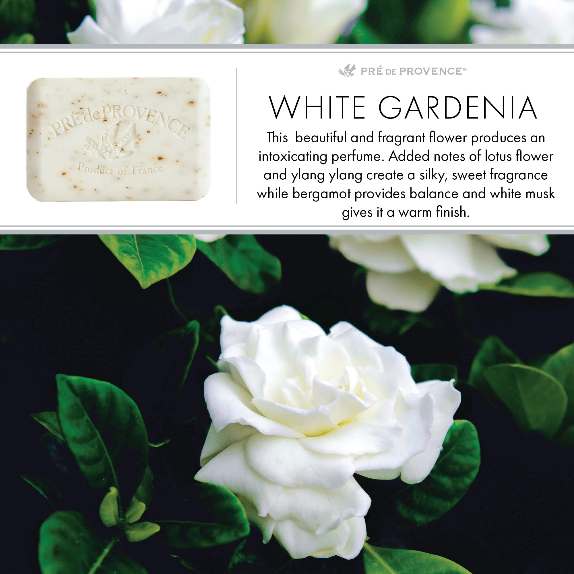 Pre de Provence Artisanal French Soap Bar Enriched with Shea Butter, White Gardenia, 150 Gram