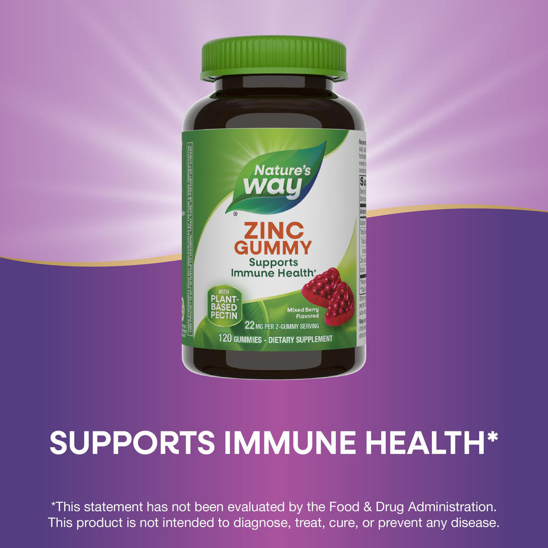 Nature's Way Zinc Gummies, Adult & Kids 9+ Immune Support Gummies*, 100% Daily Value per Serving, Mixed Berry Flavor, 120 Chews (Set of 2)