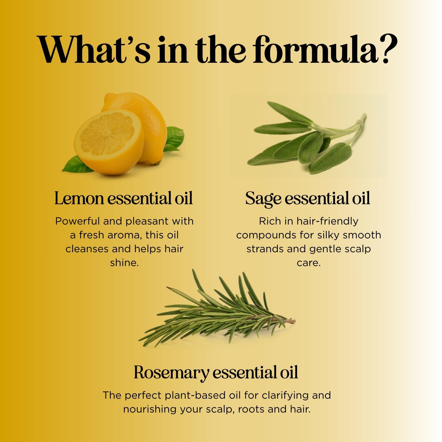 Lemon Sage Shampoo for Oily Hair - Sulfate Free Clarifying Shampoo for Build Up with Lemon Sage Keratin and Tea Tree Oil for Hair and Scalp Care - Deep Cleansing Rosemary Shampoo for Men and Women