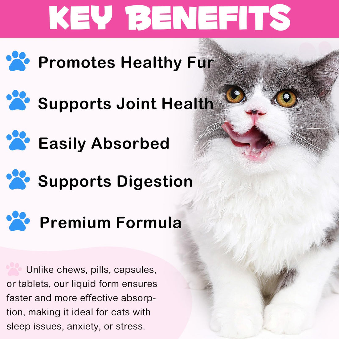2Pack Liquid Collagen for Cats, Collagen for Cats 2 fl.oz, Skin and Coat Supplement for Cats, Itch Relief for Cats with Allergies, with Bovine Collagen, Biotin, MSM, Ginger, Collagen for Cats Drops