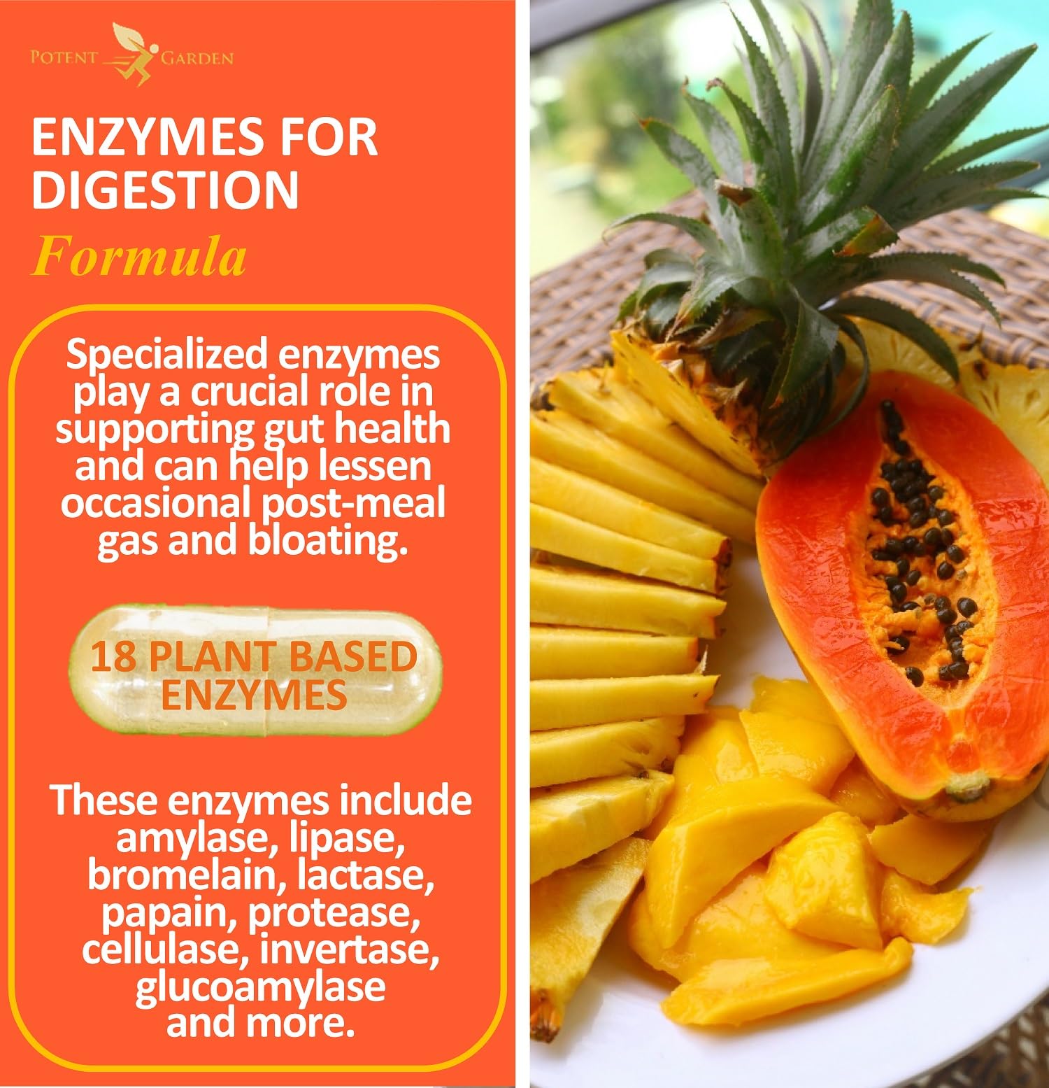 Potent Garden Digestive Enzymes -18 Plant Based Enzymes with amylase lipase bromelain Protease lactase & Other Enzymes - One Pre Meal Pill Supports Healthy Digestion & Nutrient Absorption 60 Caps