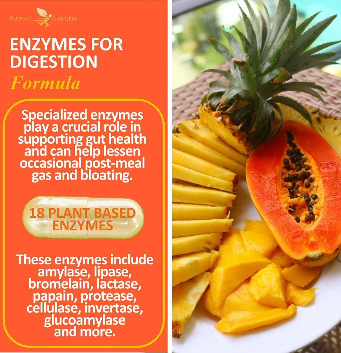 Potent Garden Digestive Enzymes -18 Plant Based Enzymes with amylase lipase bromelain Protease lactase & Other Enzymes - One Pre Meal Pill Supports Healthy Digestion & Nutrient Absorption 60 Caps