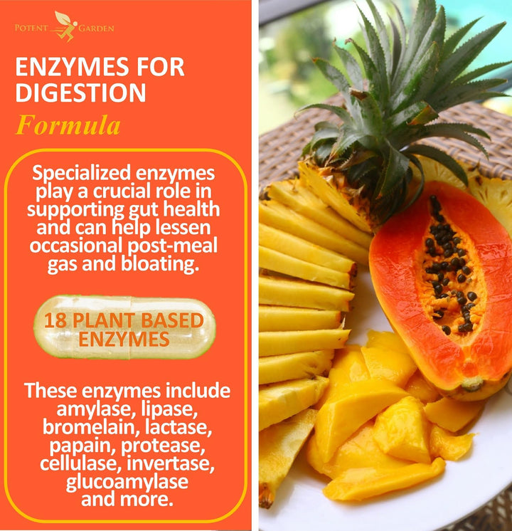Potent Garden Digestive Enzymes -18 Plant Based Enzymes with amylase lipase bromelain Protease lactase & Other Enzymes - One Pre Meal Pill Supports Healthy Digestion & Nutrient Absorption 60 Caps